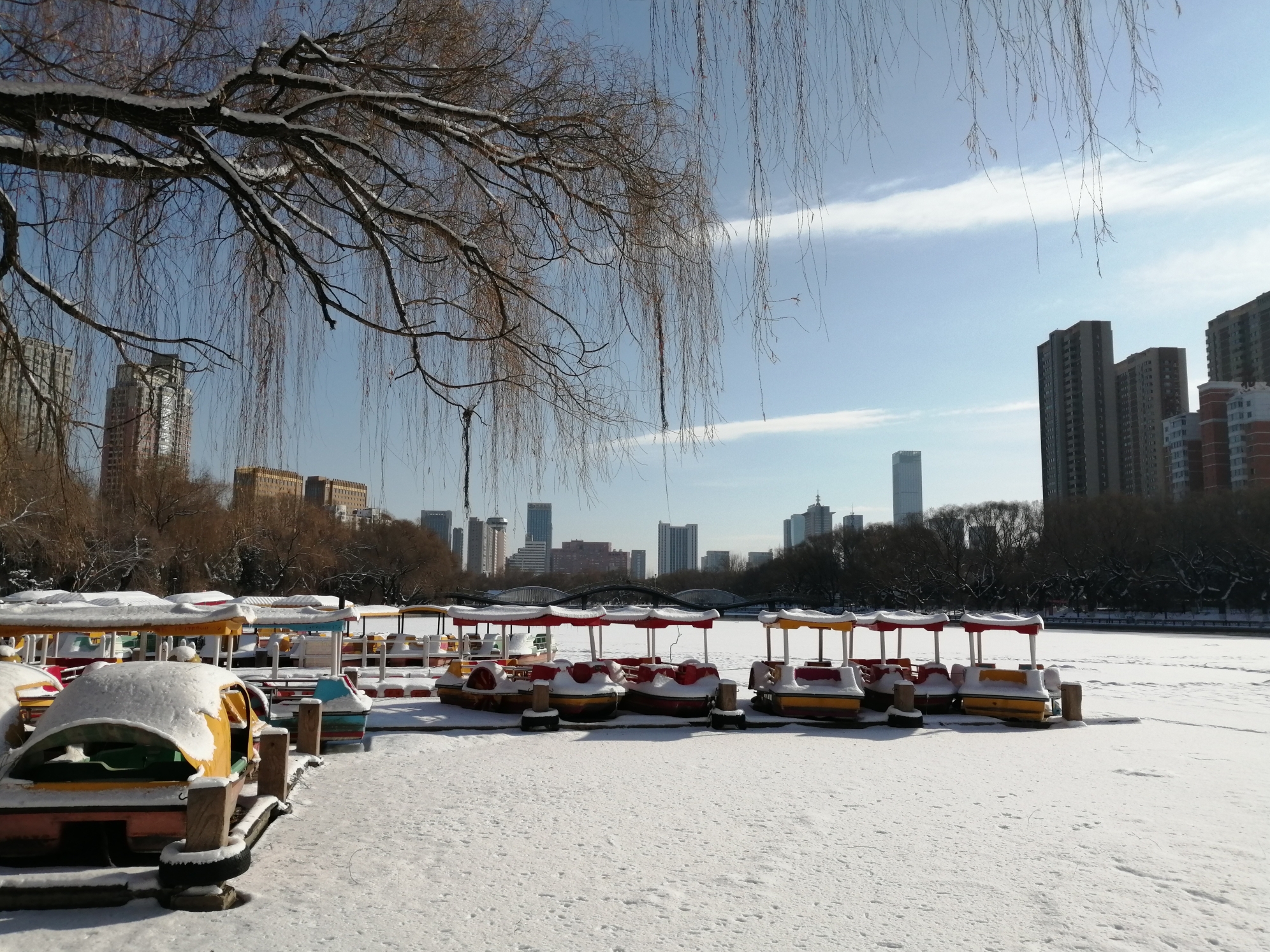 2021冬天的南湖公園