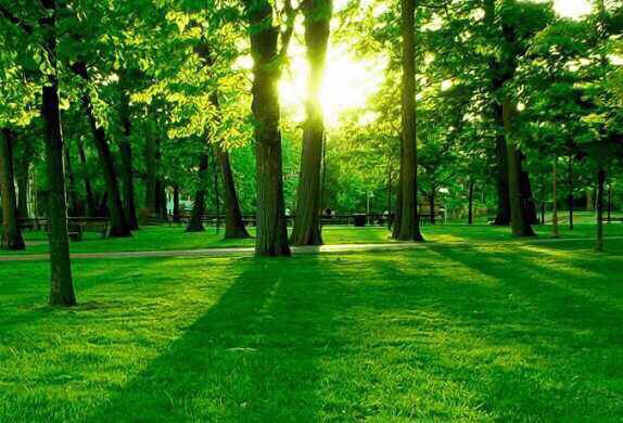 【科尔沁诗人】韵海扬帆 《第三期》围题诗"春草"