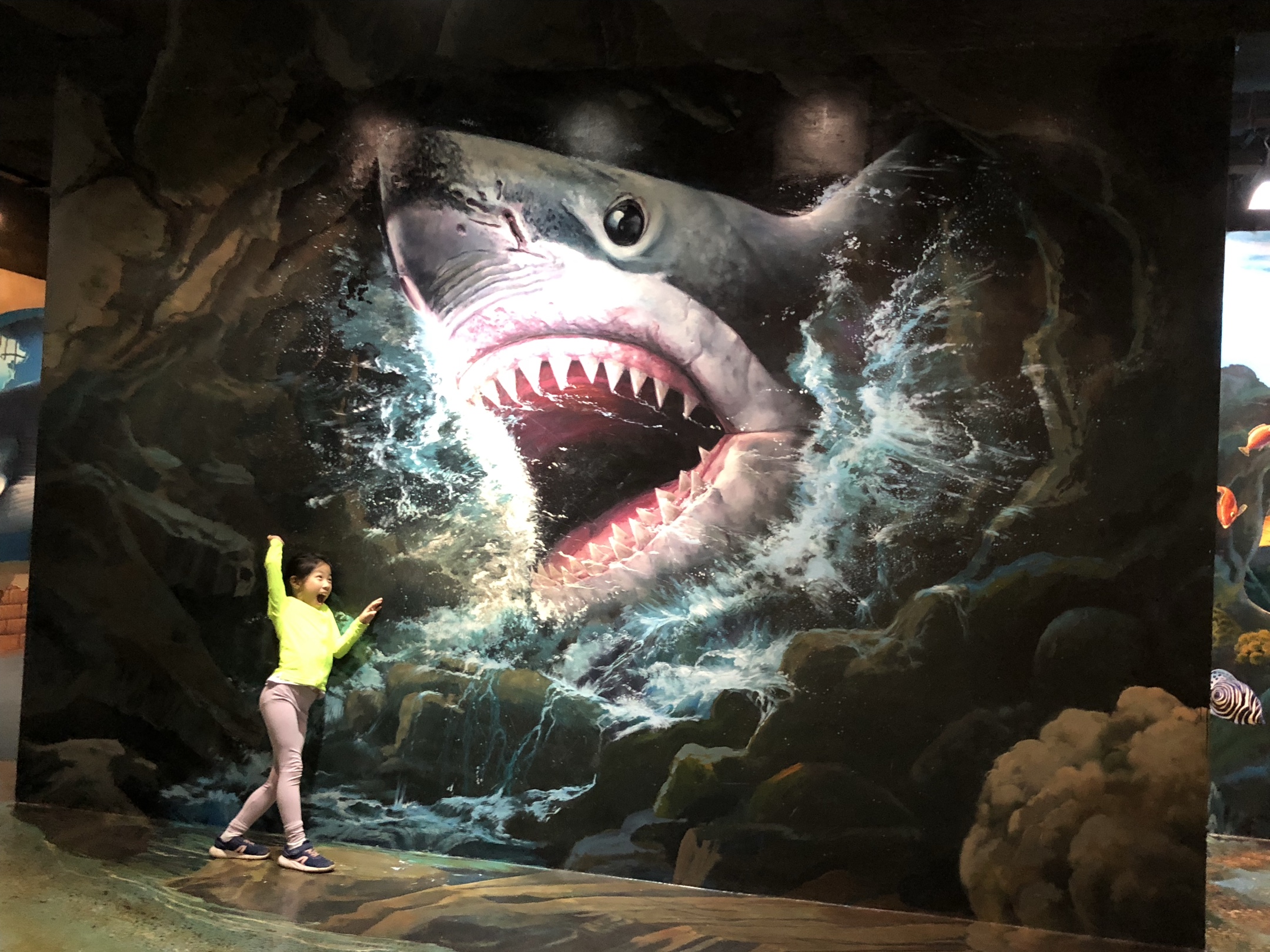 突然巨鲨冲出画面.