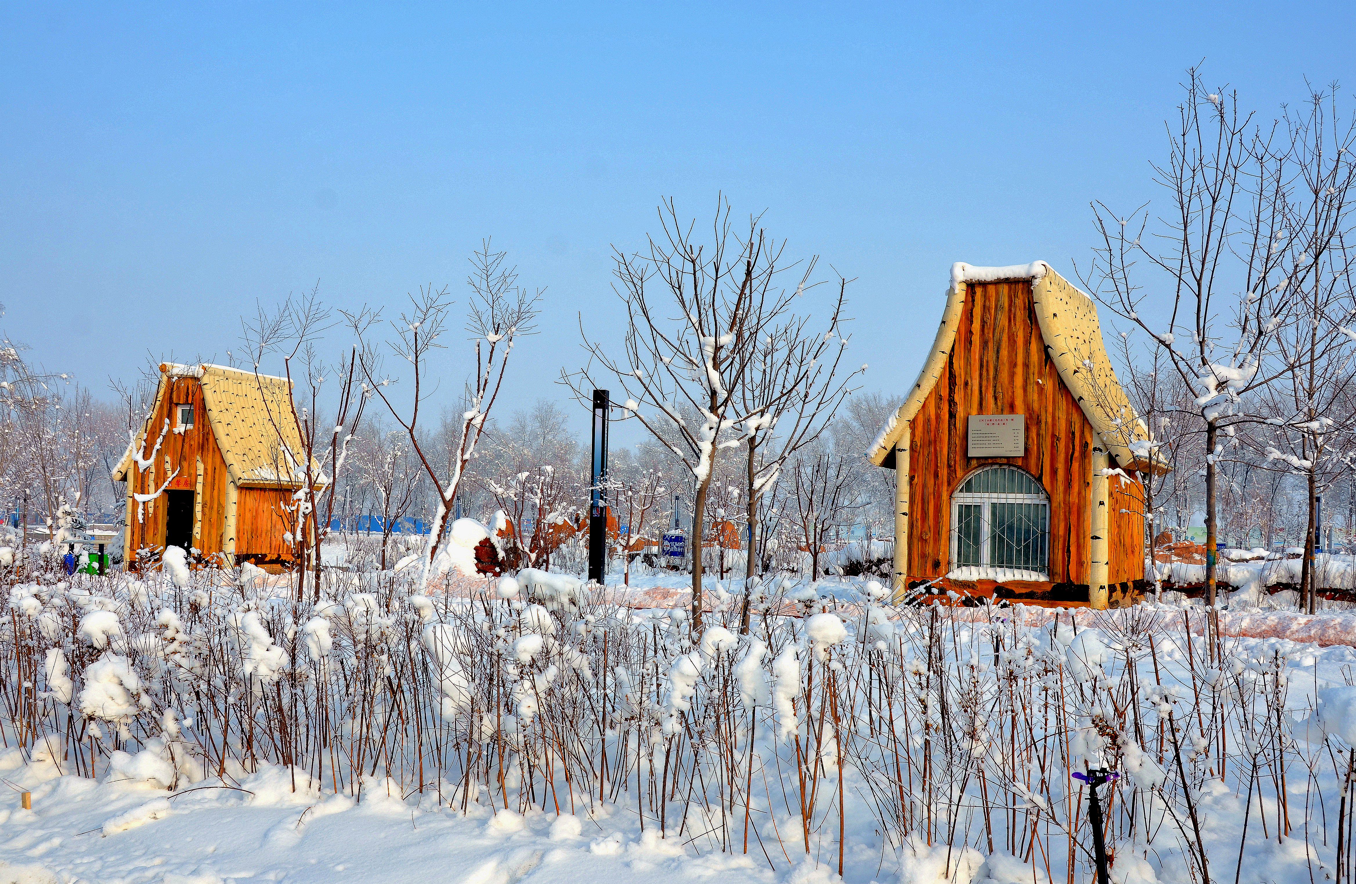 我爱你塞北的雪新疆石河子雪景欣赏