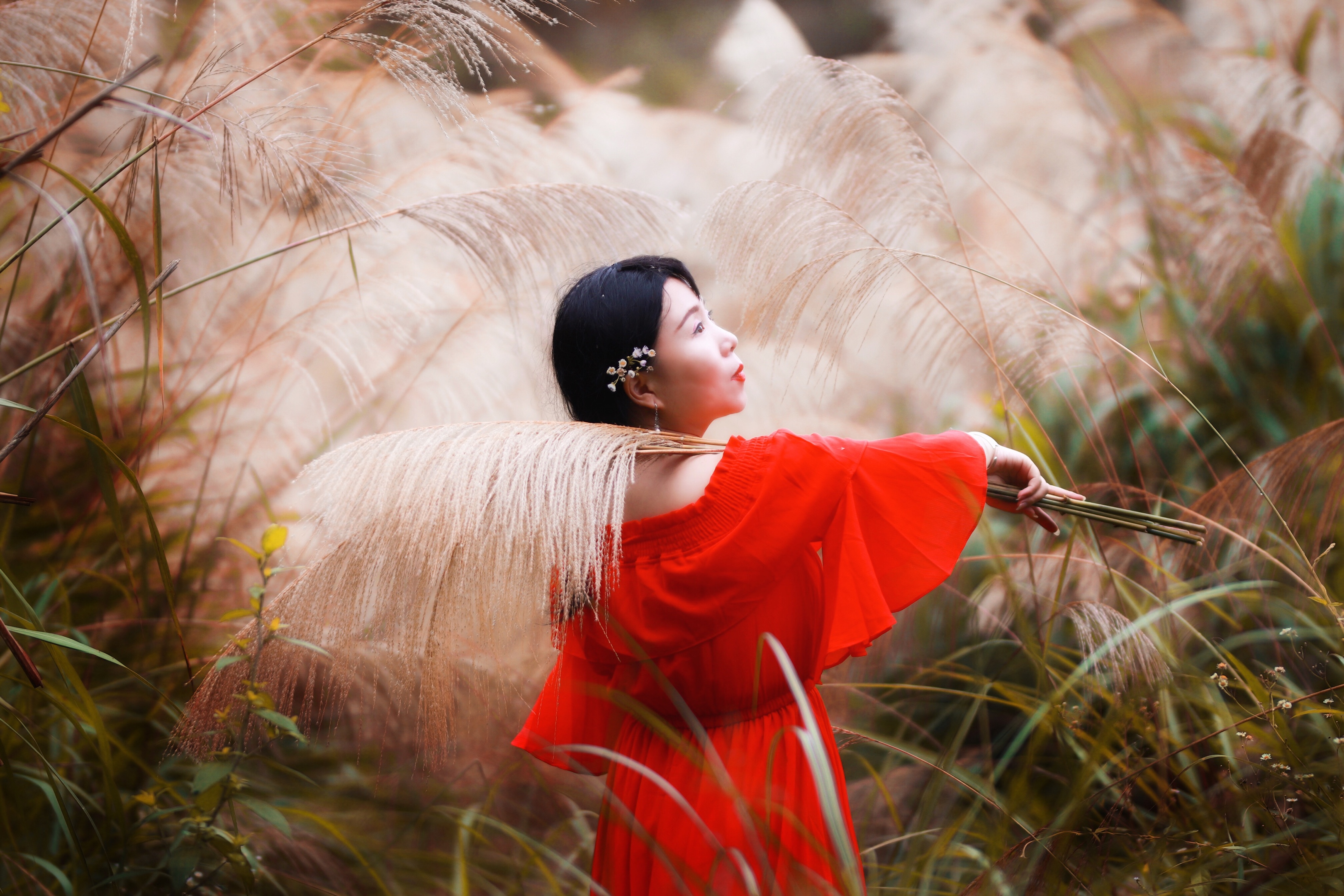 卧荻花花语图片