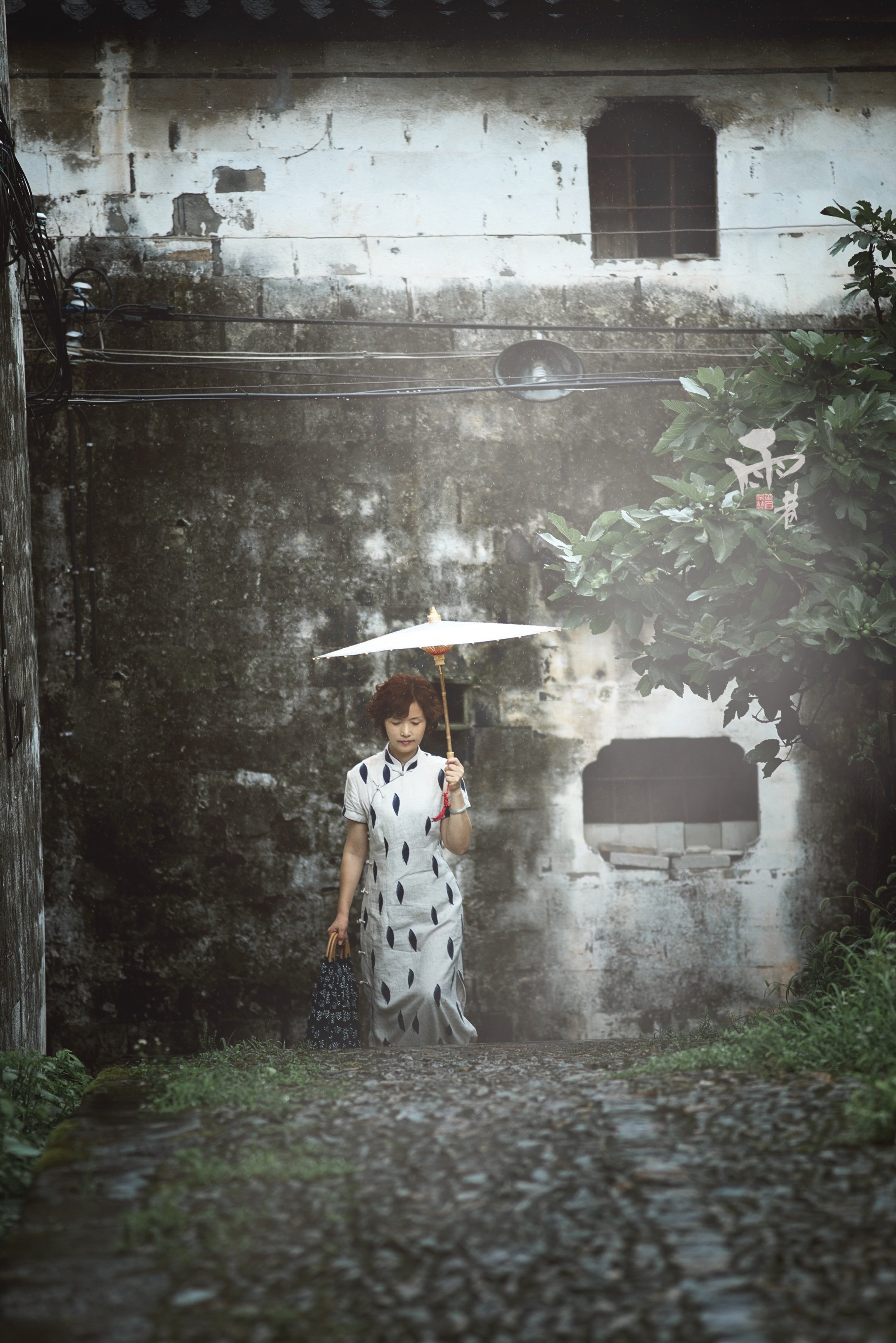 雨巷里的丁香花依然那么凄美