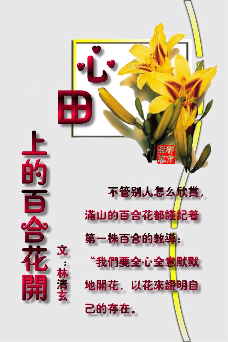 芭妮在线诵读心田上的百合花开文林清玄