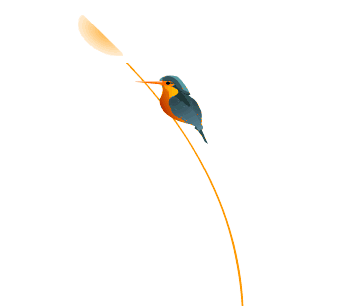 露水美丽的眼晴 一朵朵小花凝视着你 你的行囊已经背起 徘徊的影子 过