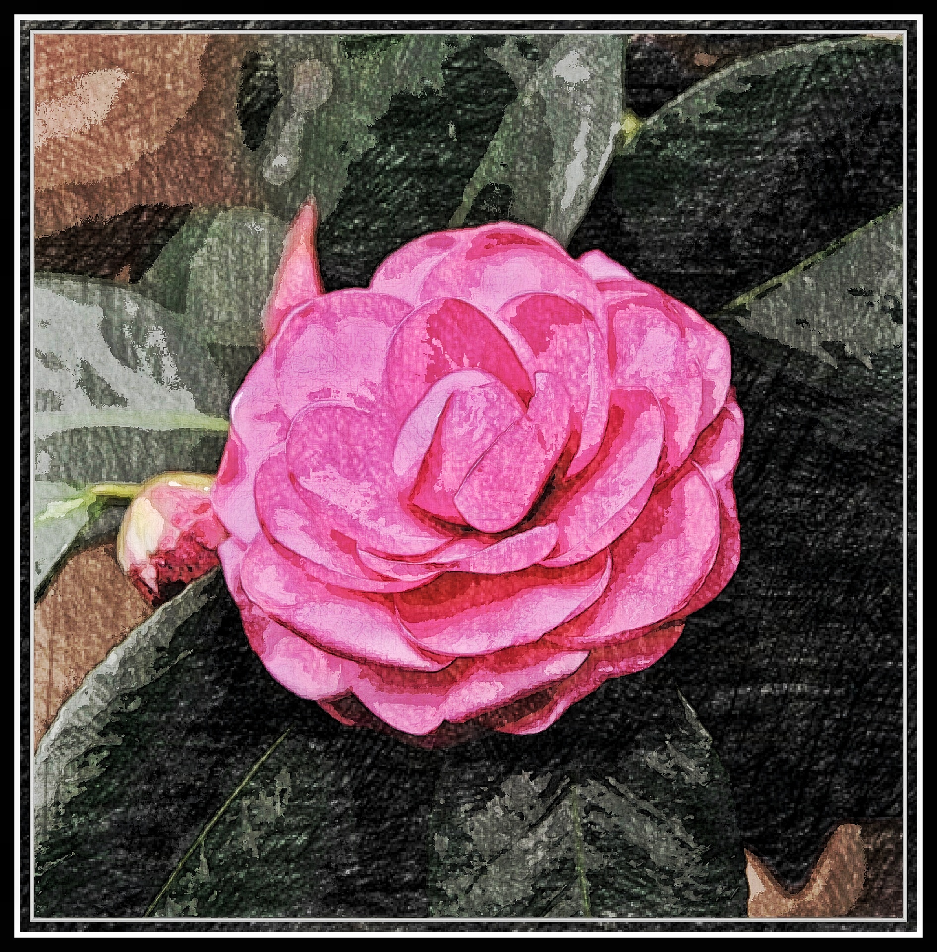 首发油画山茶花