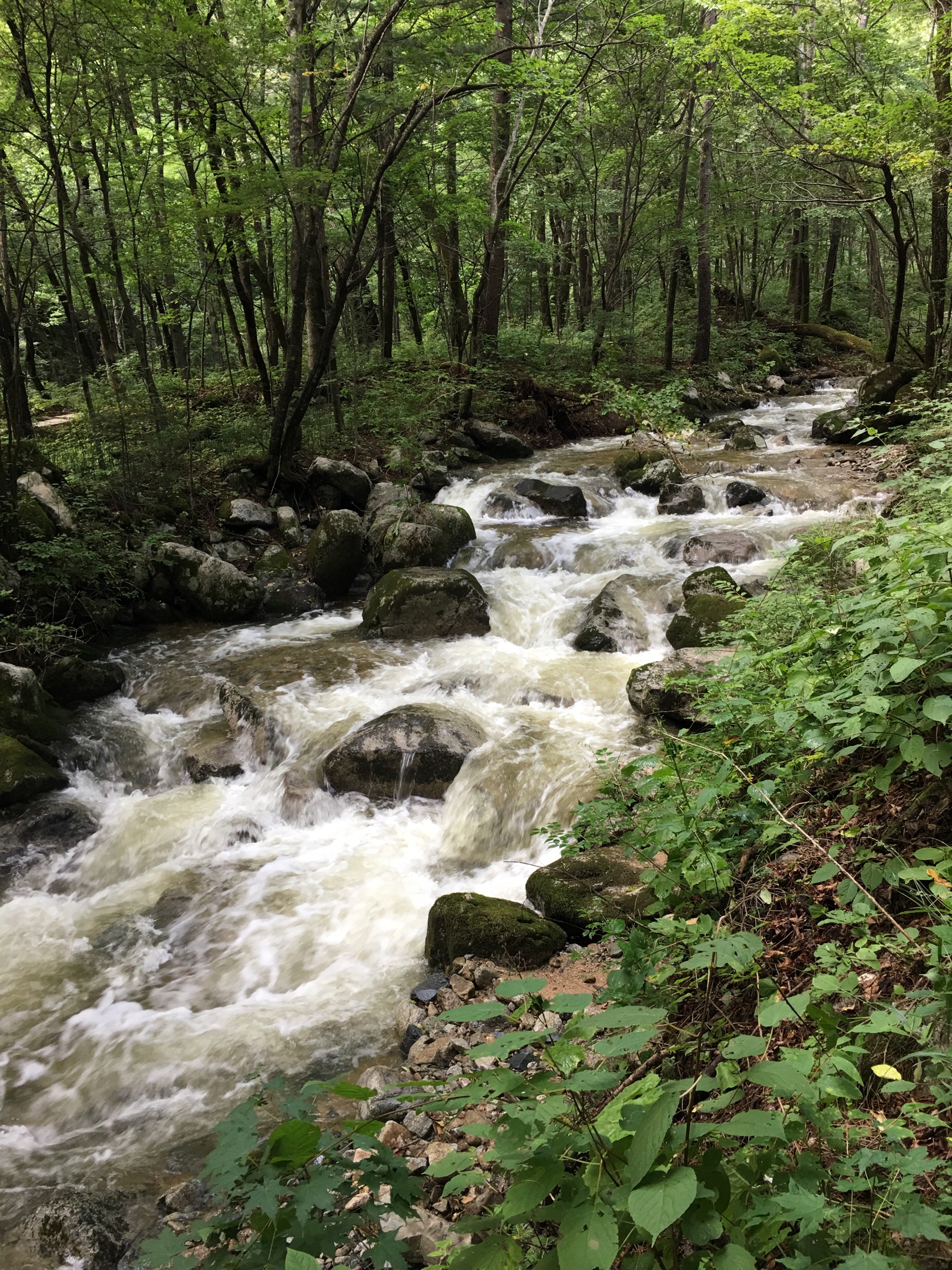 深山溪流