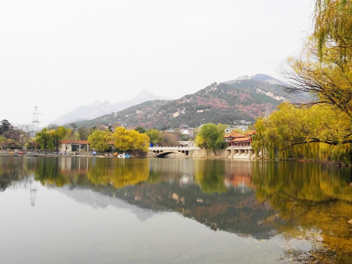 初冬泰安虎山公园美景 (手机版)