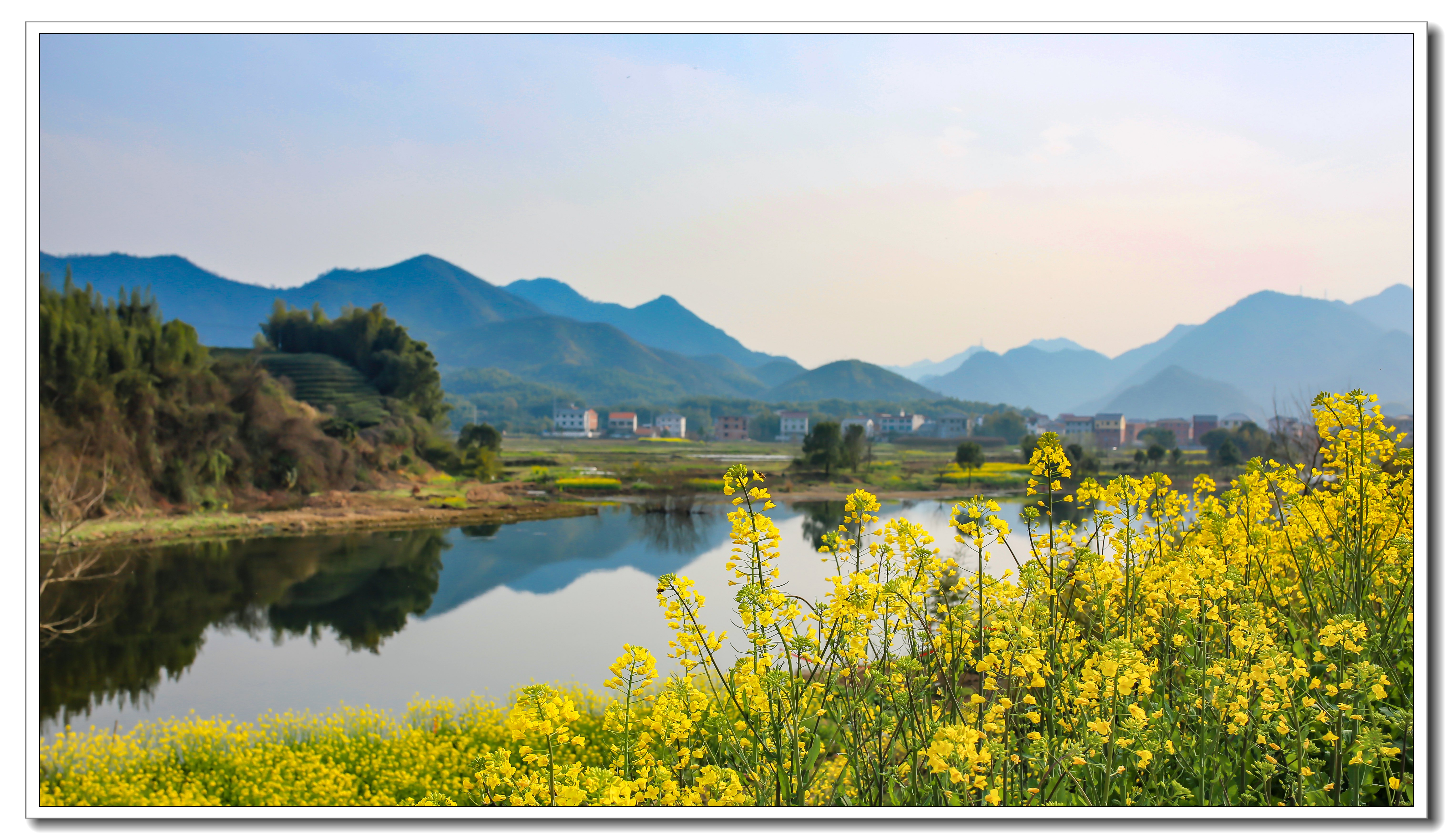 诗画家园美丽厚大