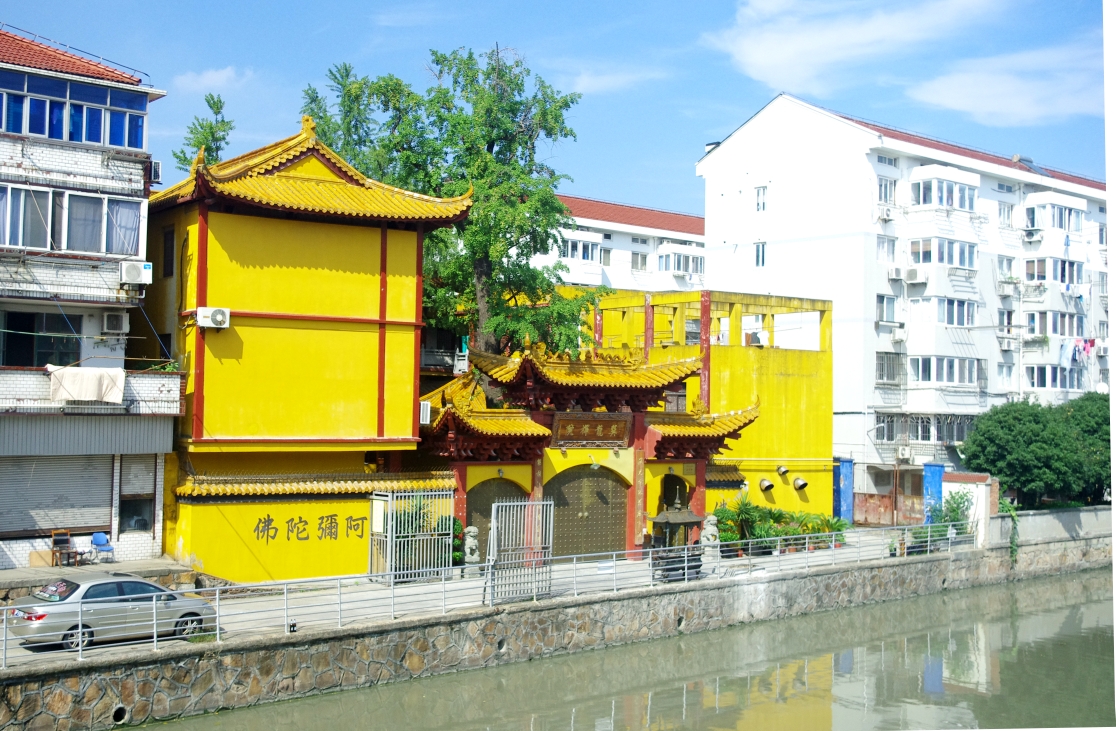 行行摄摄十三浦东九龙壁(周浦永定寺)