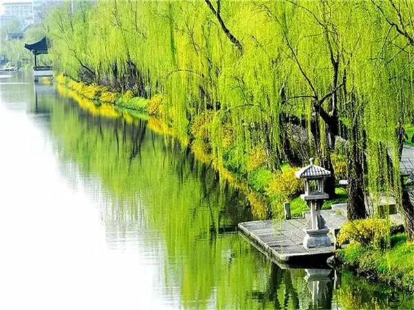 唯美四月天 花开满人间