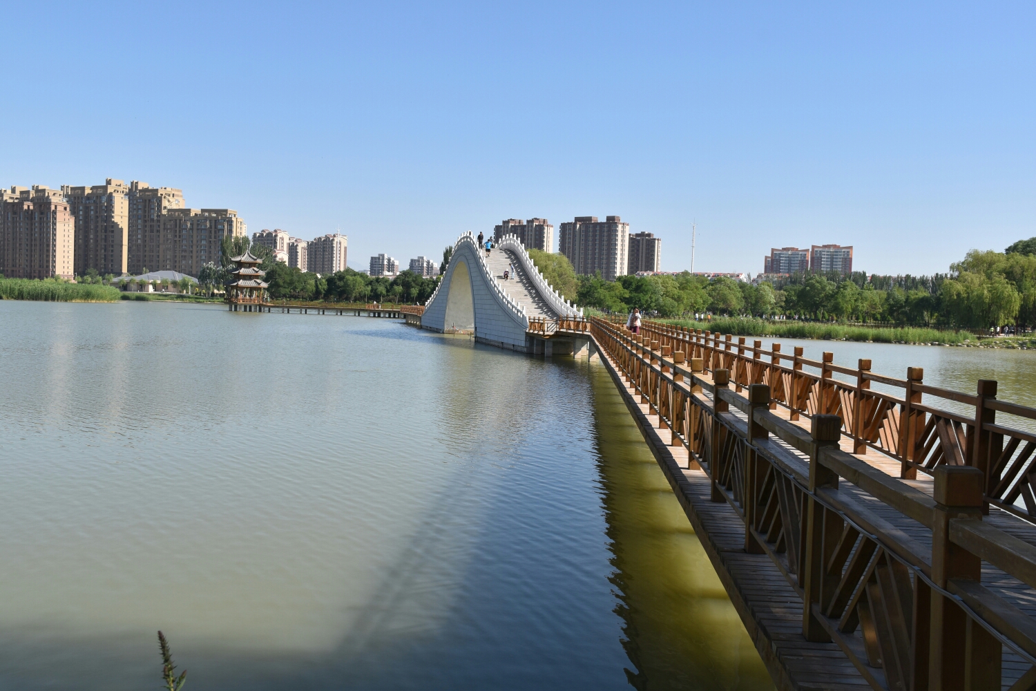 宝湖公园位于银川市金凤区,是国家湿地公园,占地近1000亩,水面500亩