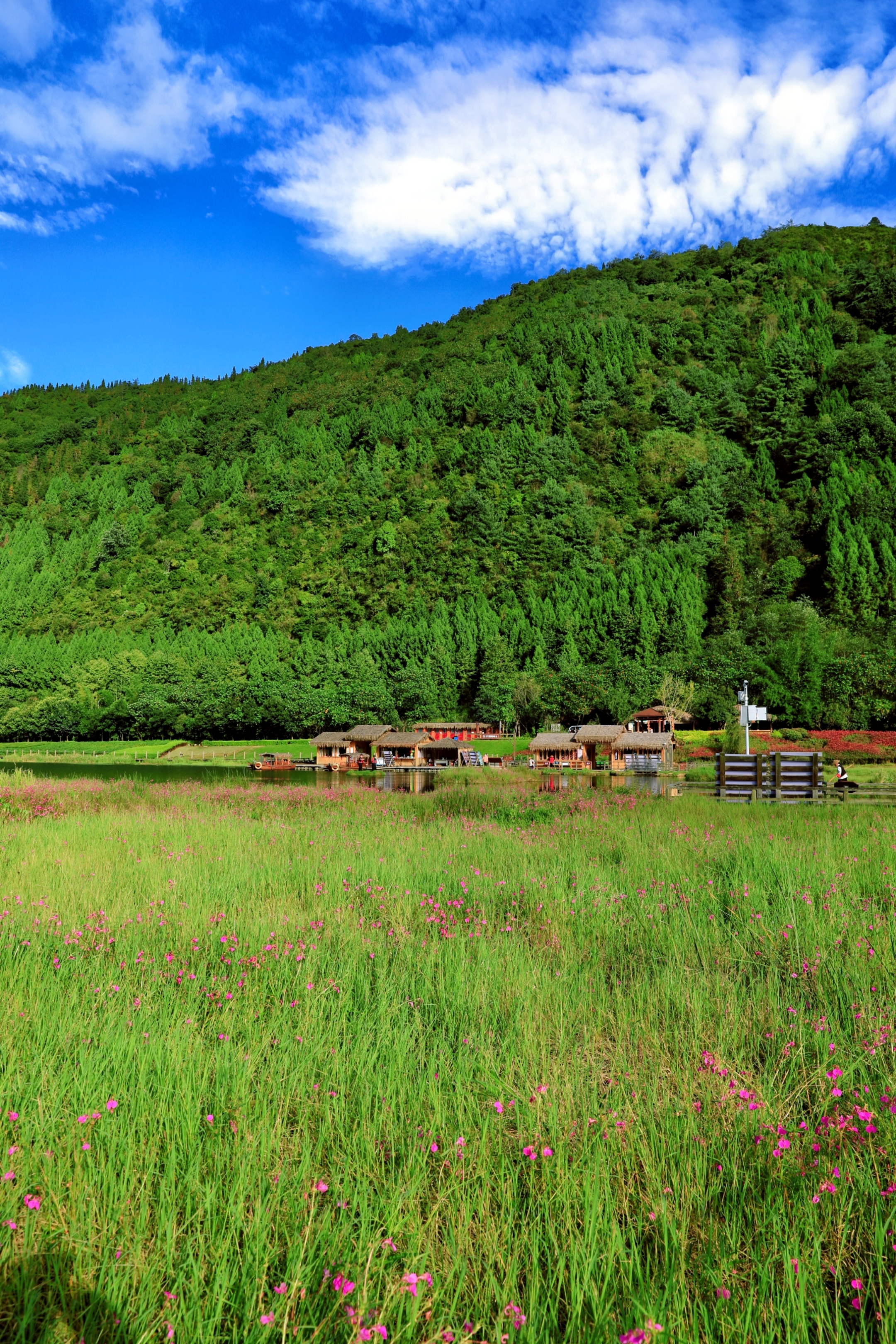 云南腾冲湿地风光