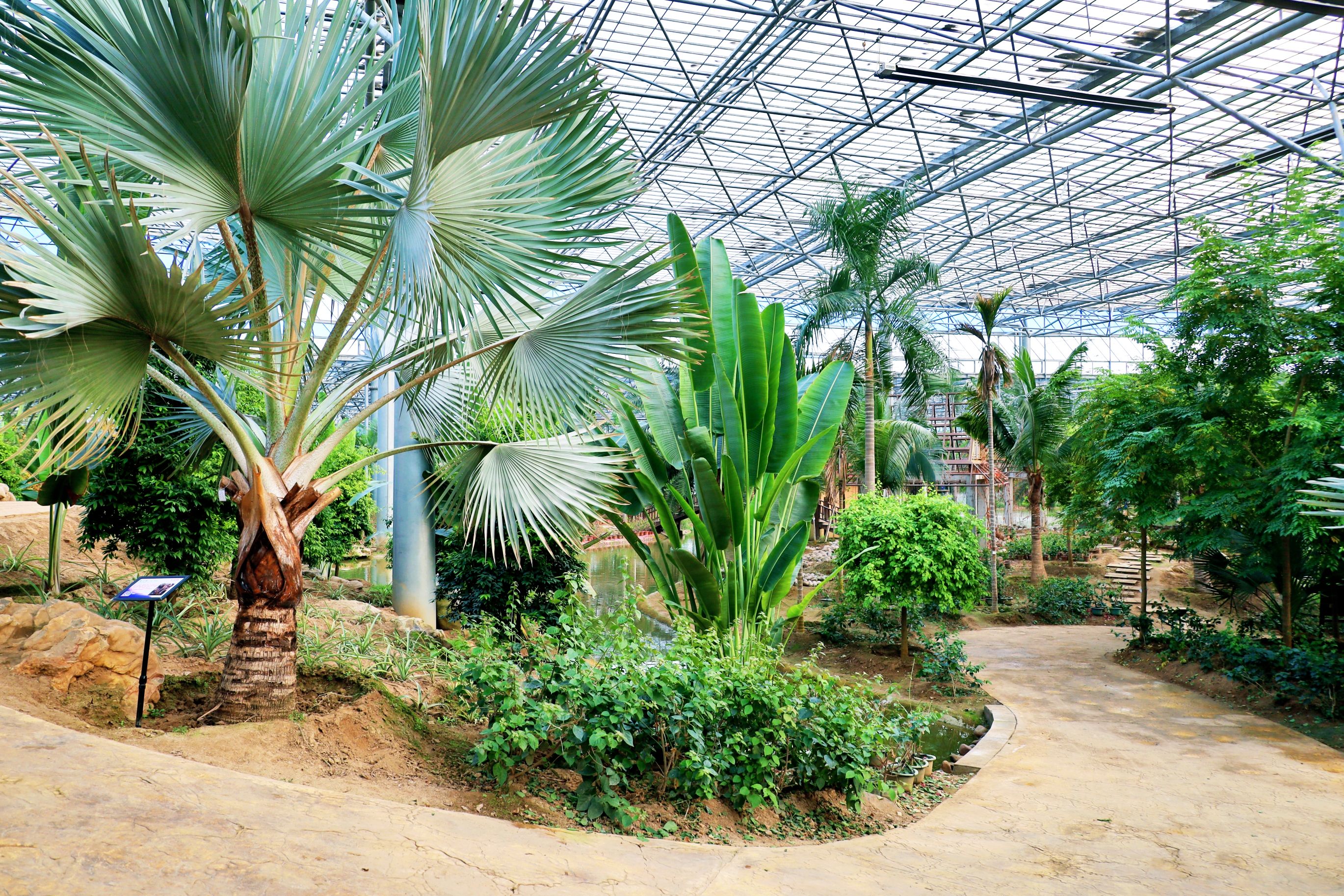 九州伊甸园略影首发