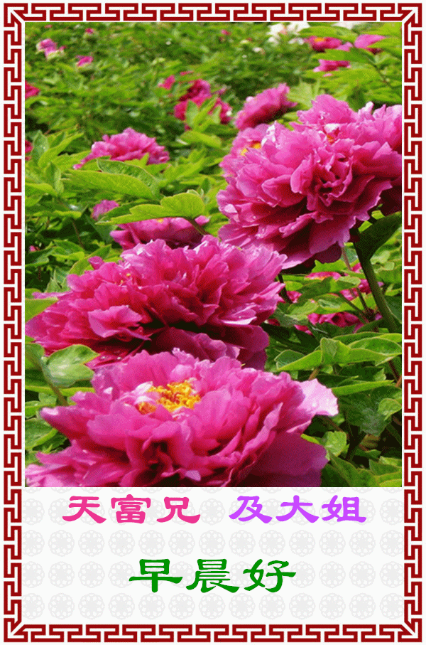 600_907竖版 竖屏gif 动态图 动图