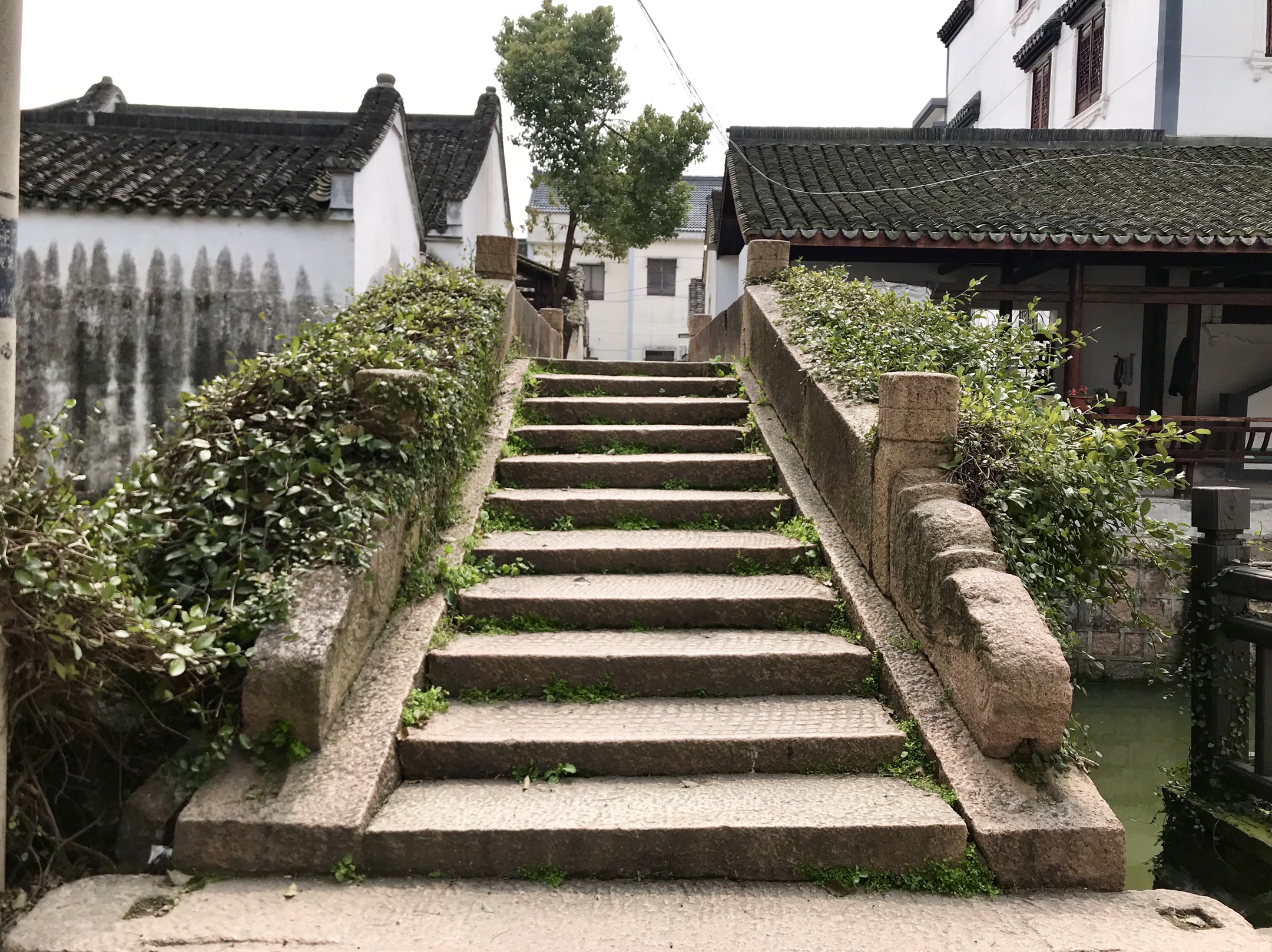 浮生偷得半日闲