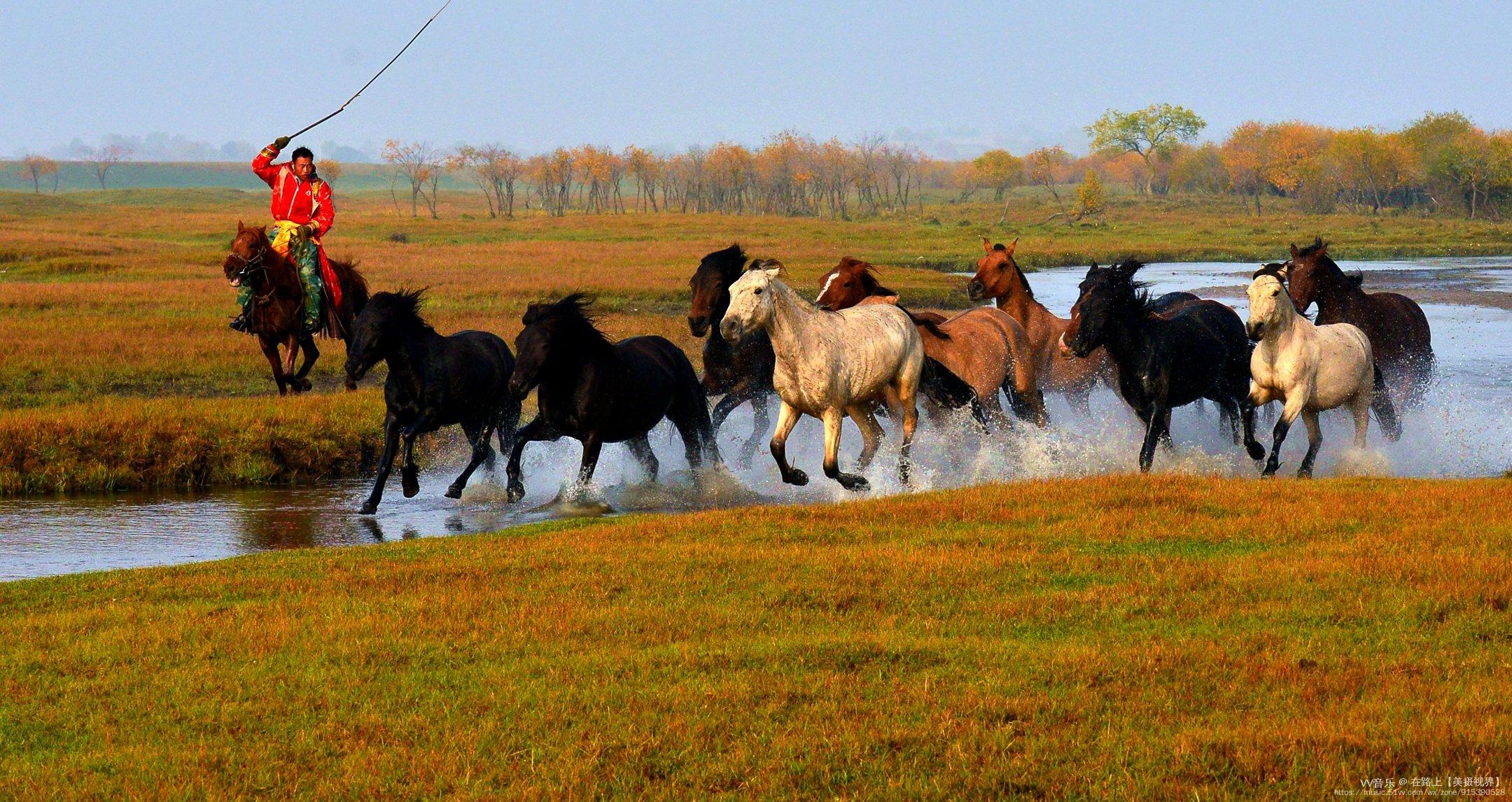 白小白 💃:天上的草原 (朗诵) - vv