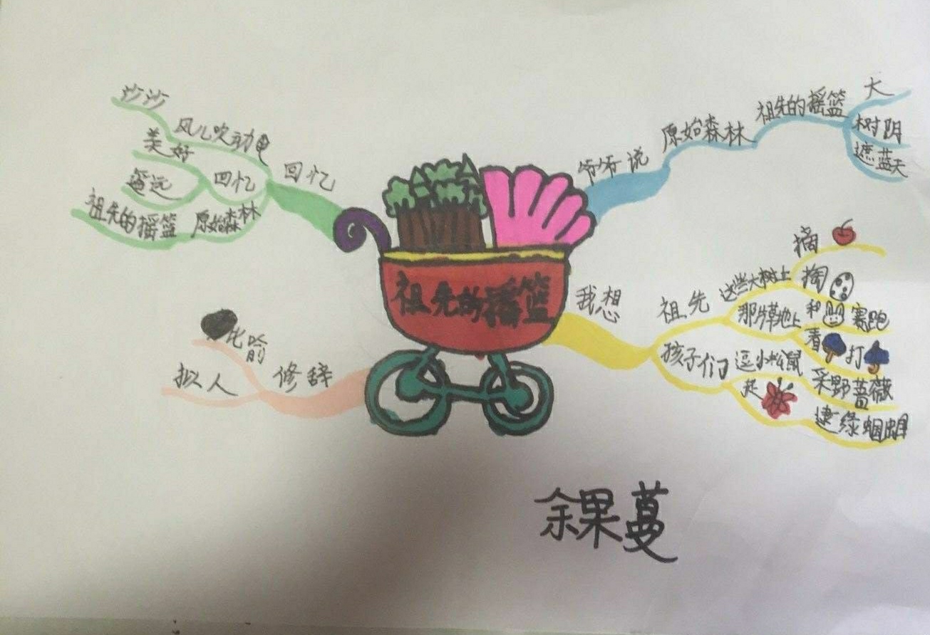 祖先的摇篮思维导图