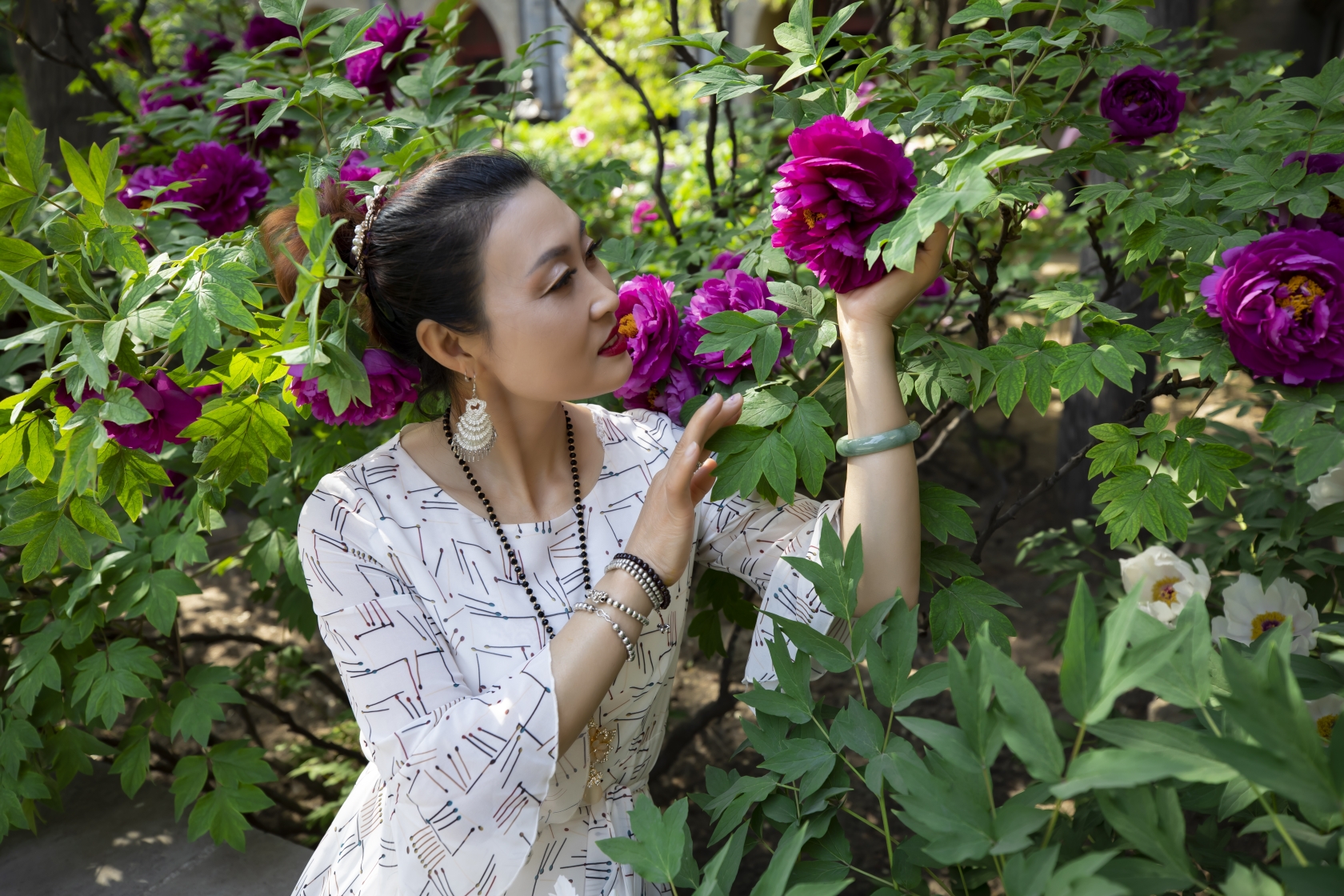 富贵牡丹双塔寺美拍