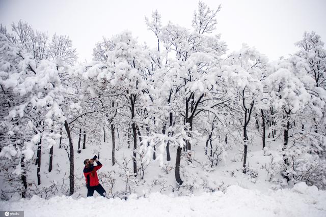 春天第一场雪图片图片