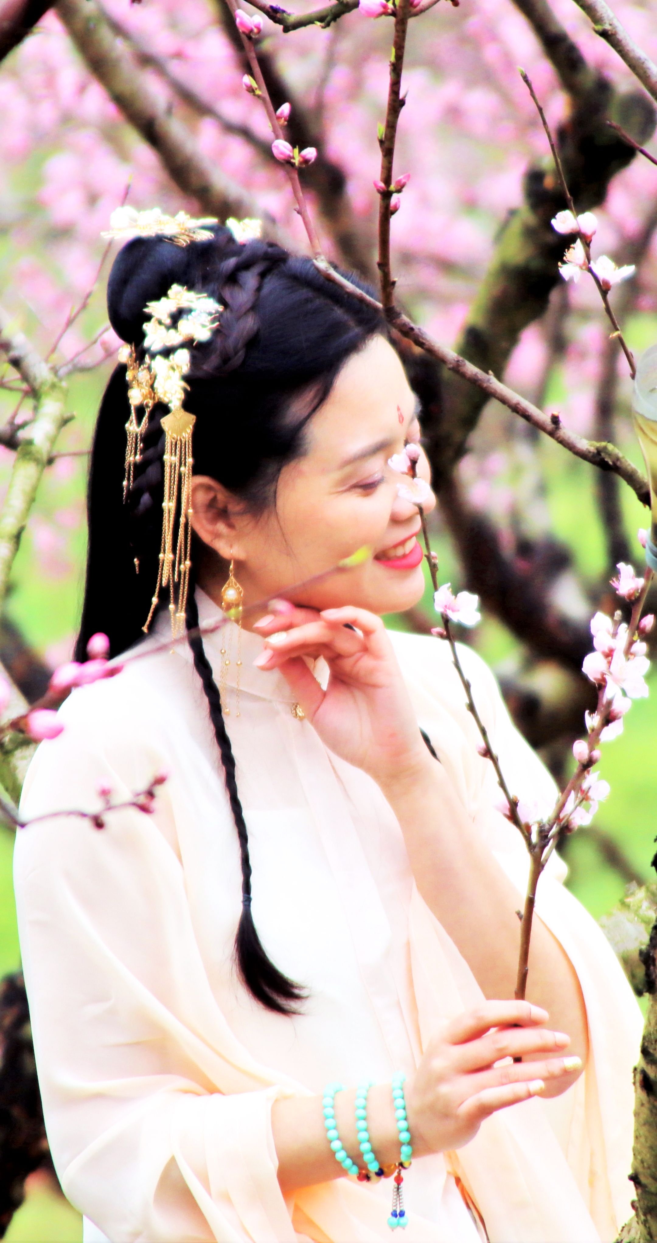 南国佳人若桃李