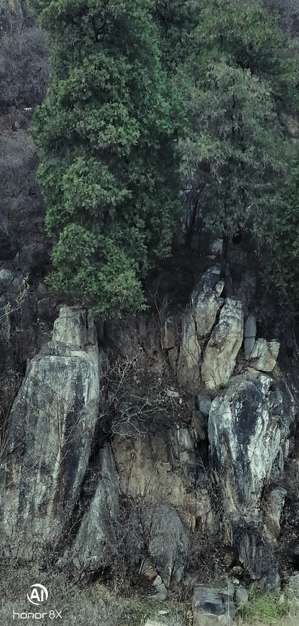 乾县石林旅游景点图片