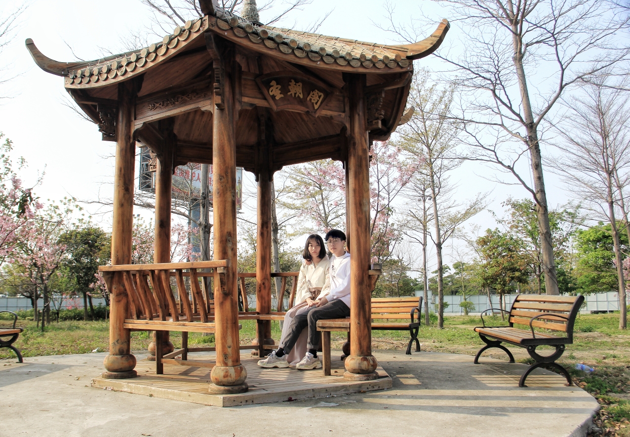 樱花与爱情 (泉州海丝樱花园拍摄花絮)