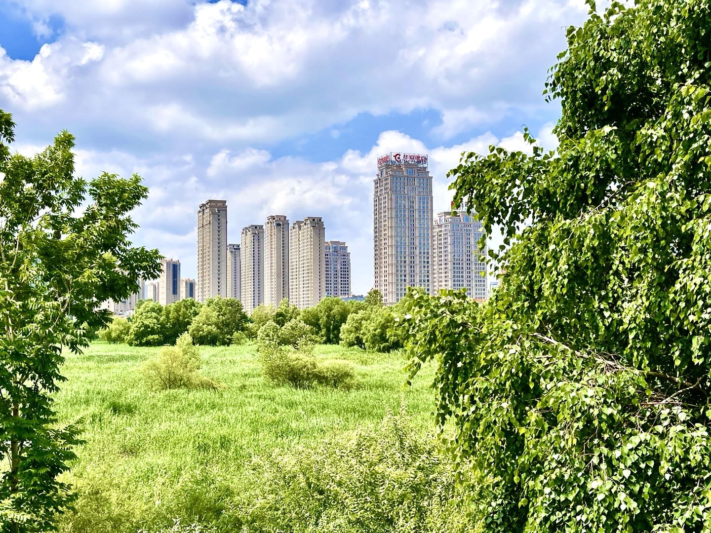 群力湿地公园公交车图片