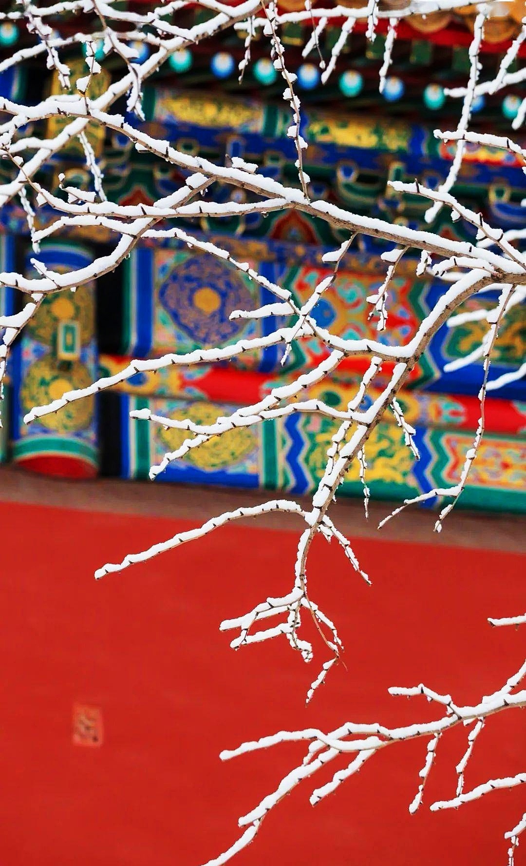 【听】大雪中的中国