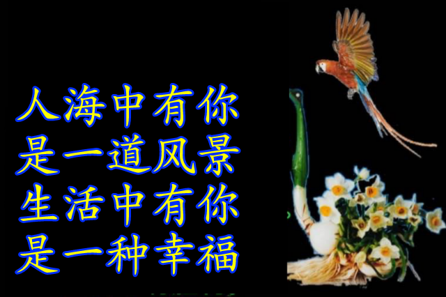 在网上我认识了你