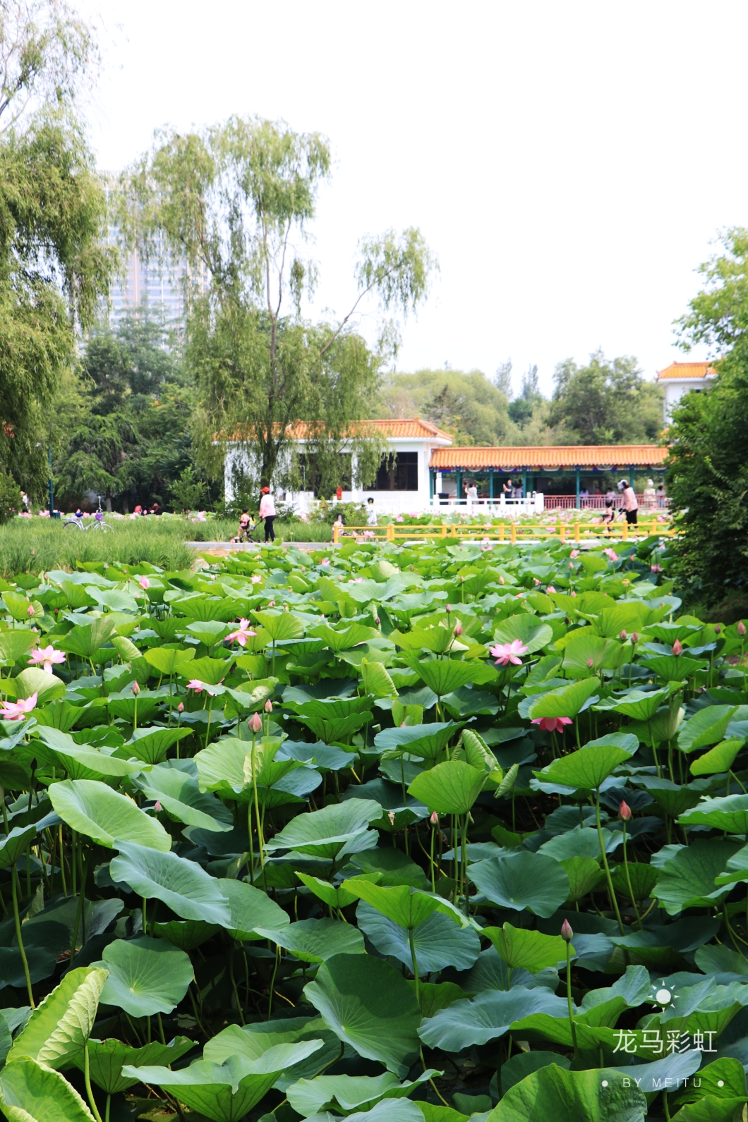 盤錦湖濱公園