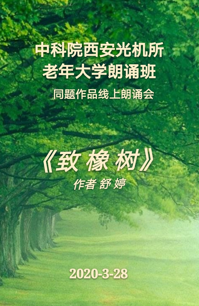 中科院西安光机所老年大学朗诵班同题作品朗诵会《致橡树》作者 舒婷