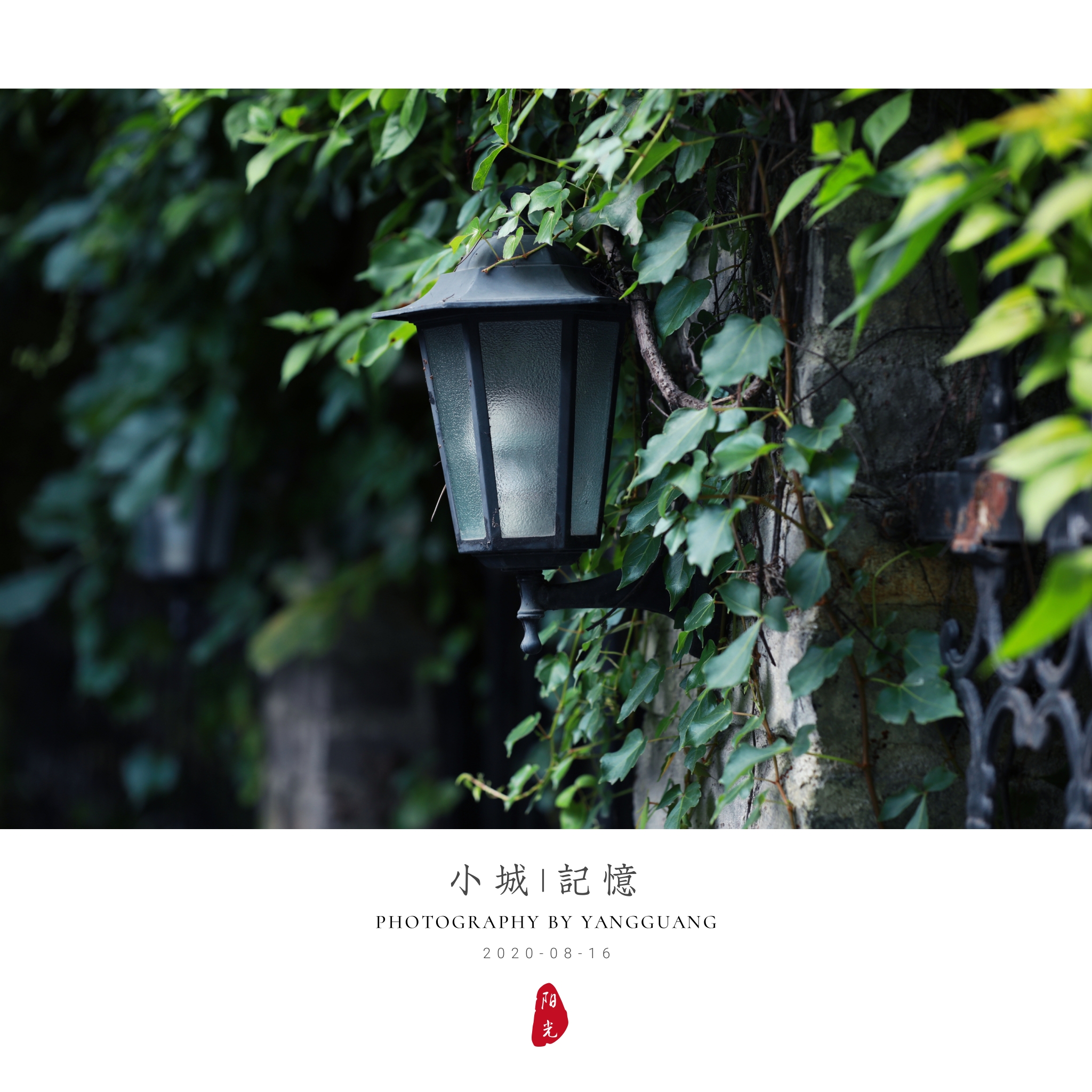 在静谧的时光里寻一份岁月静好首发