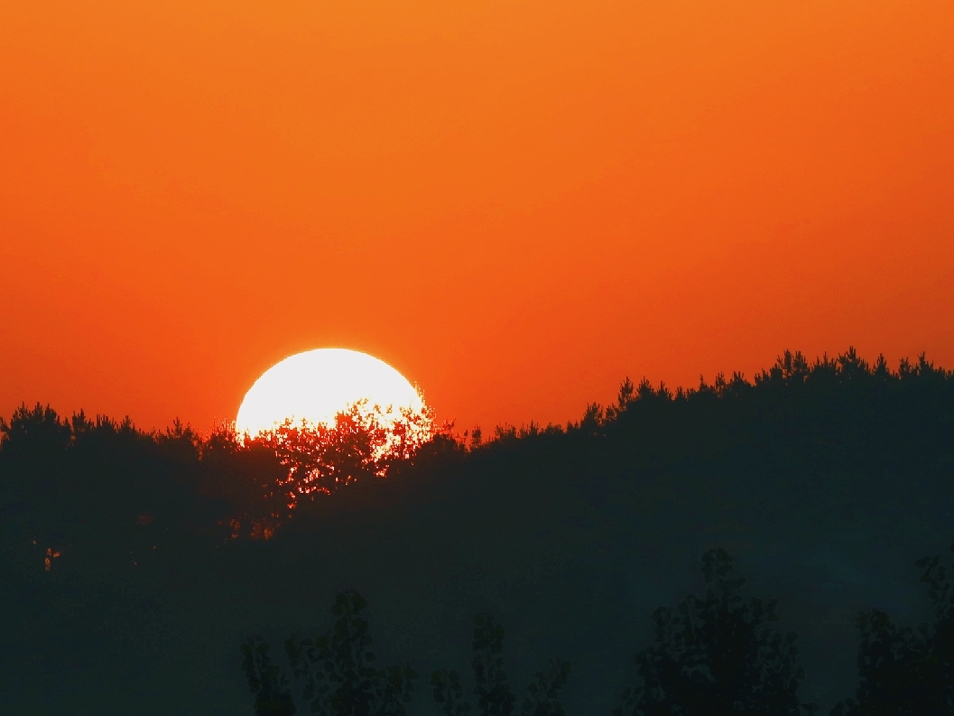 一轮红日喷薄而出,新的生机一片盎然.
