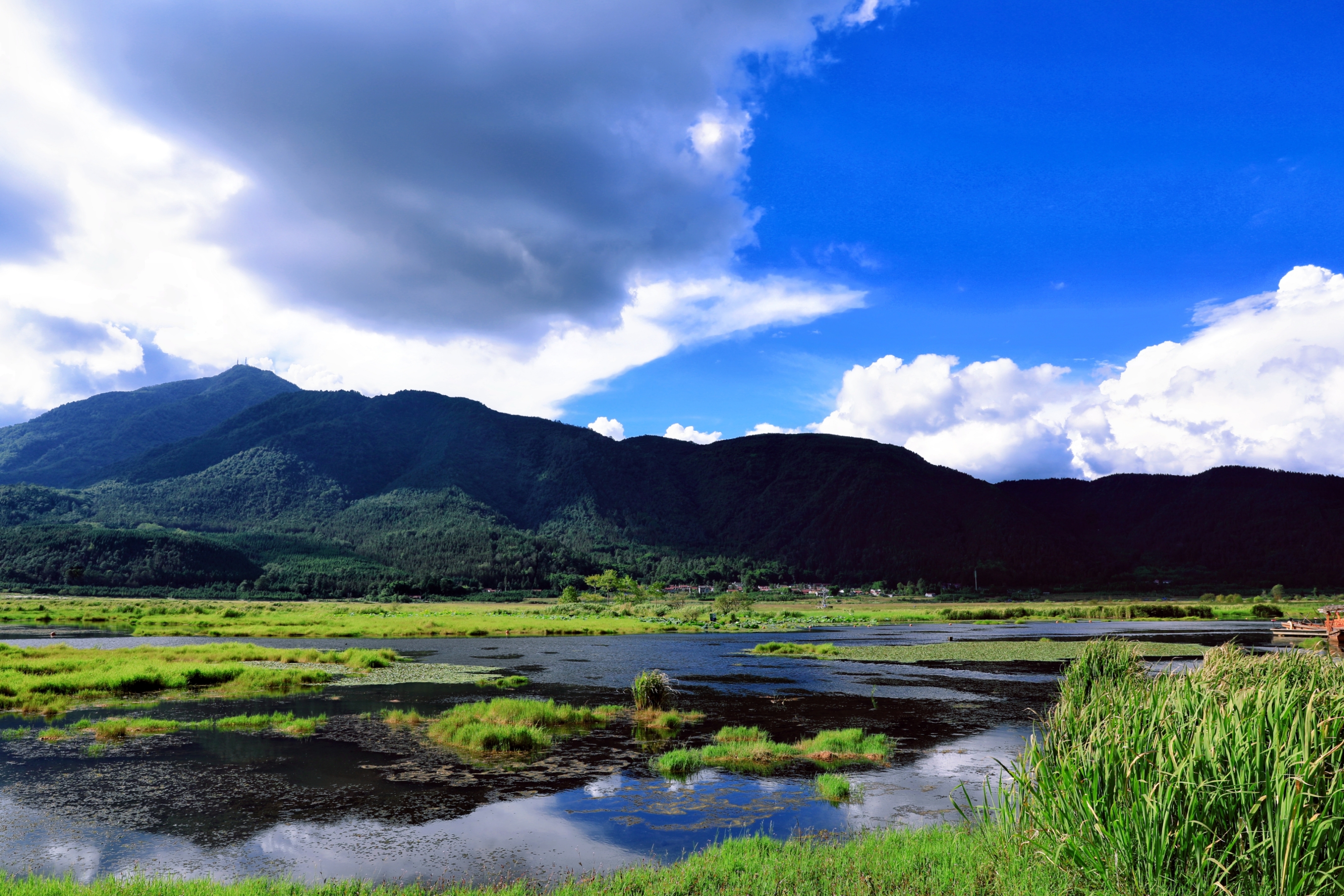 云南腾冲湿地风光