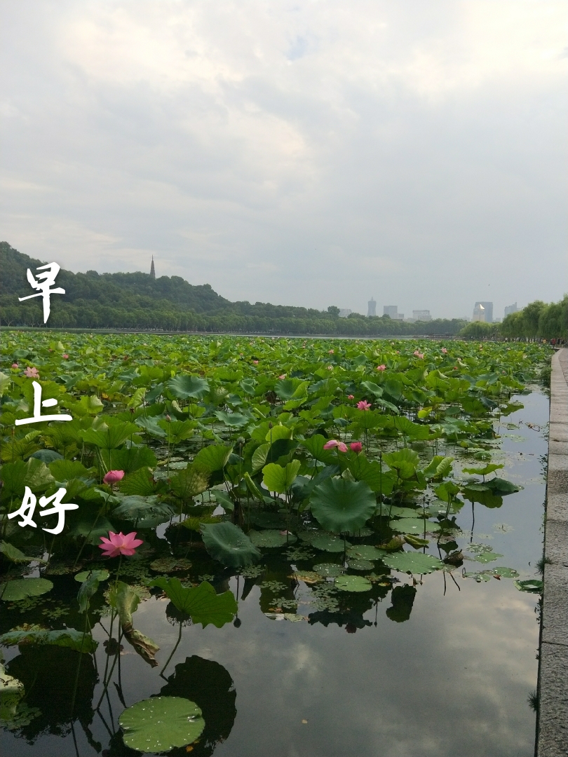 风景早上好图片 山水图片