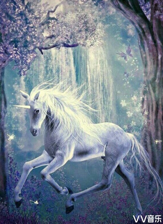 当白马的碎蹄再度响起  我依旧将梦插上翅膀  奔跑吧   无论昼与夜