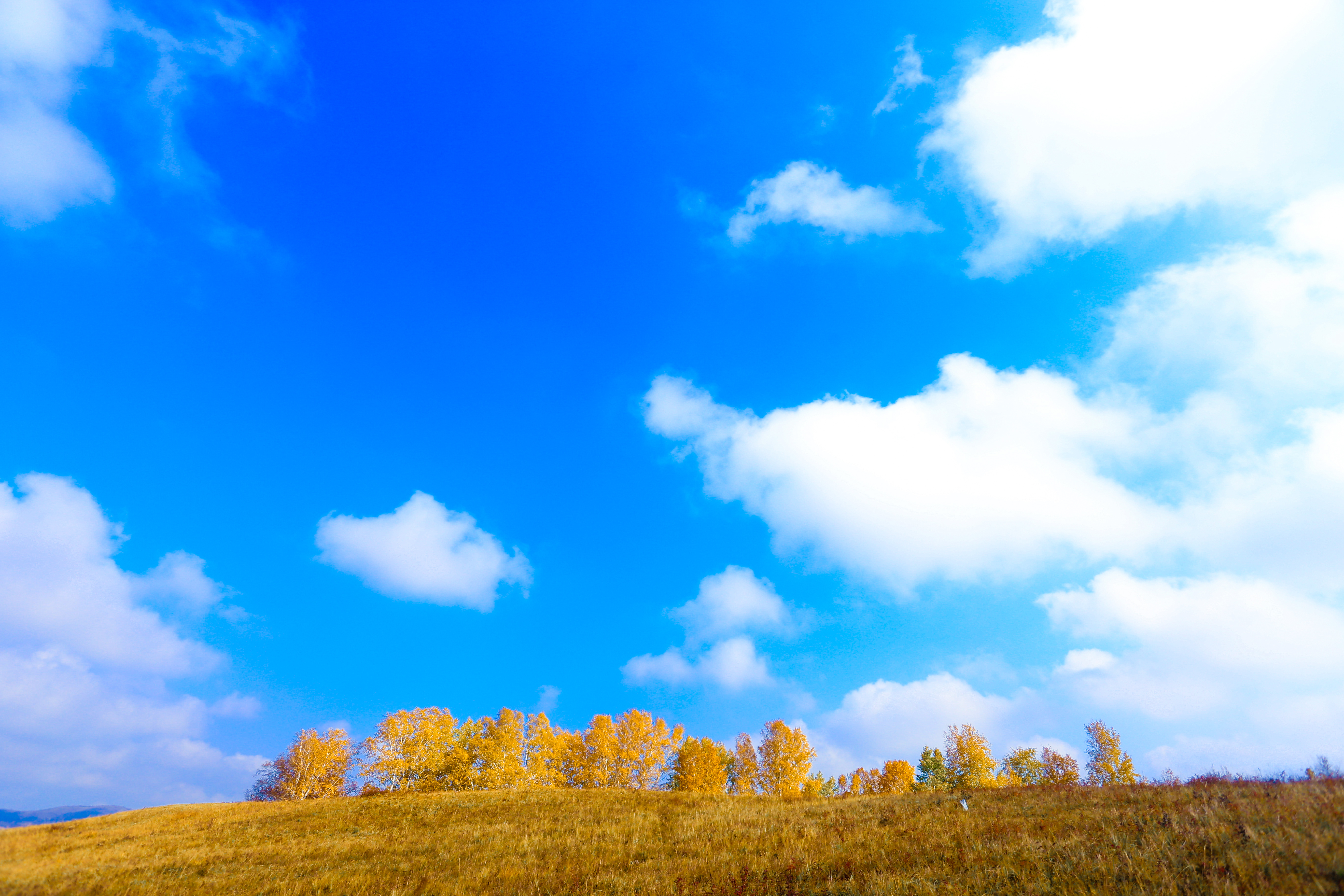 大草原,蓝天白云我的家