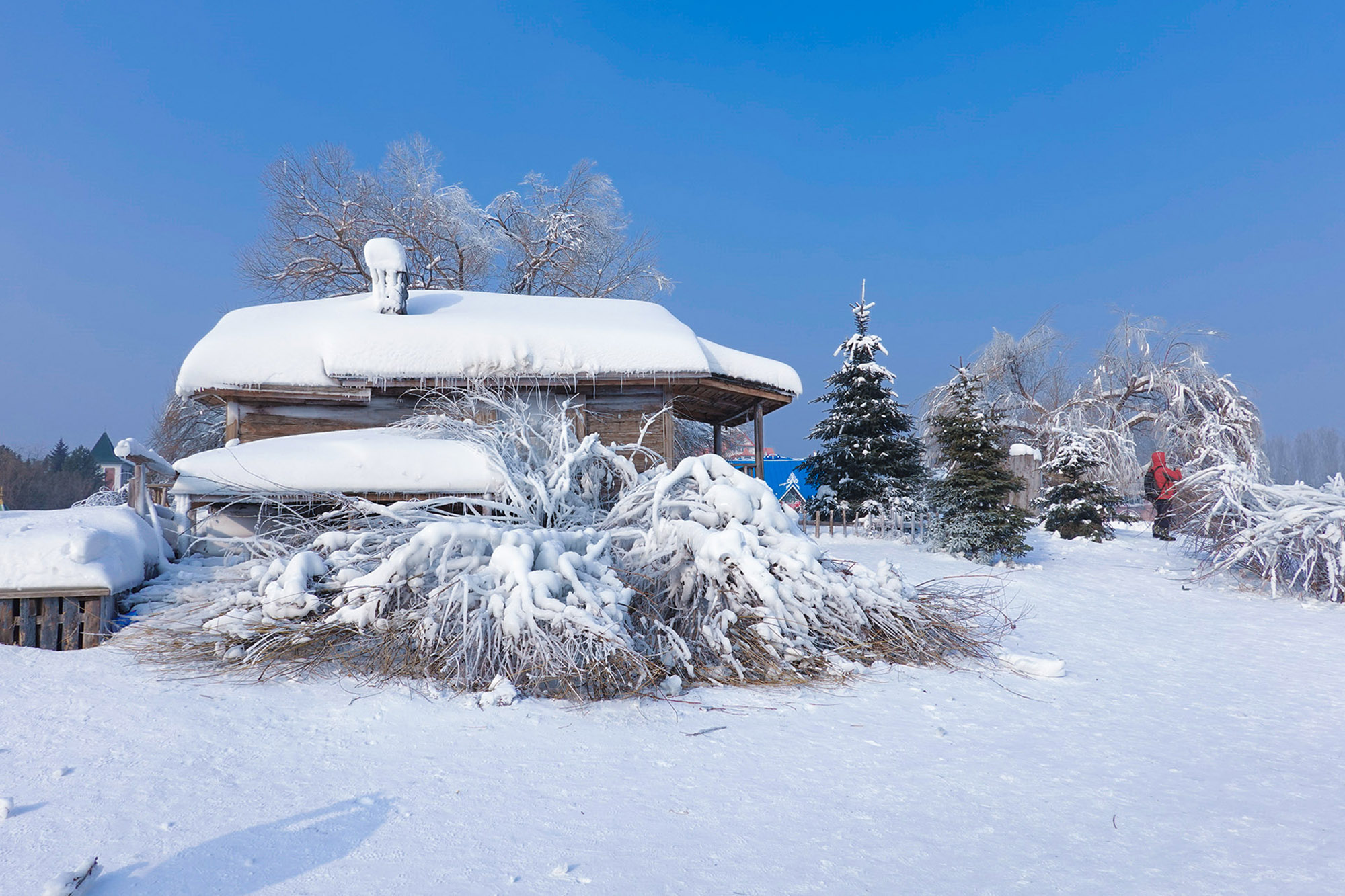 北国冰雪行摄之一伏尔加庄园赏雪景
