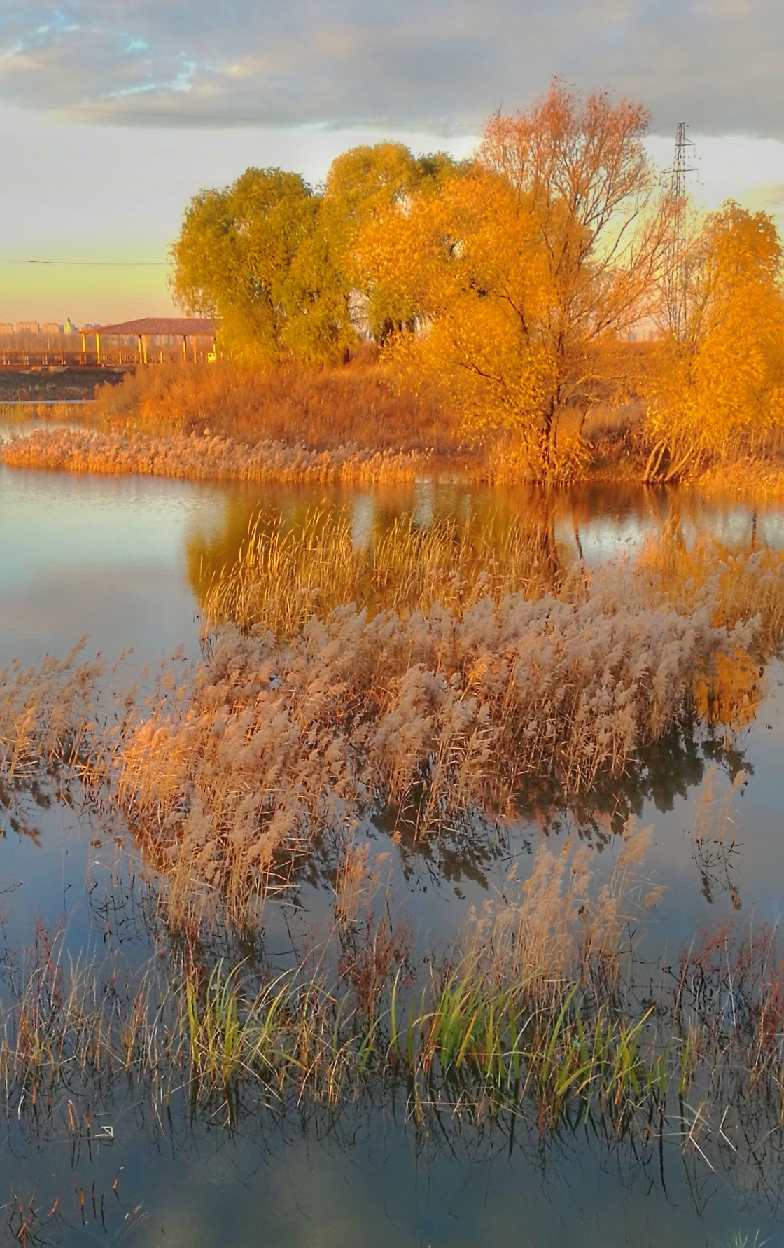 松花江上恋秋歌