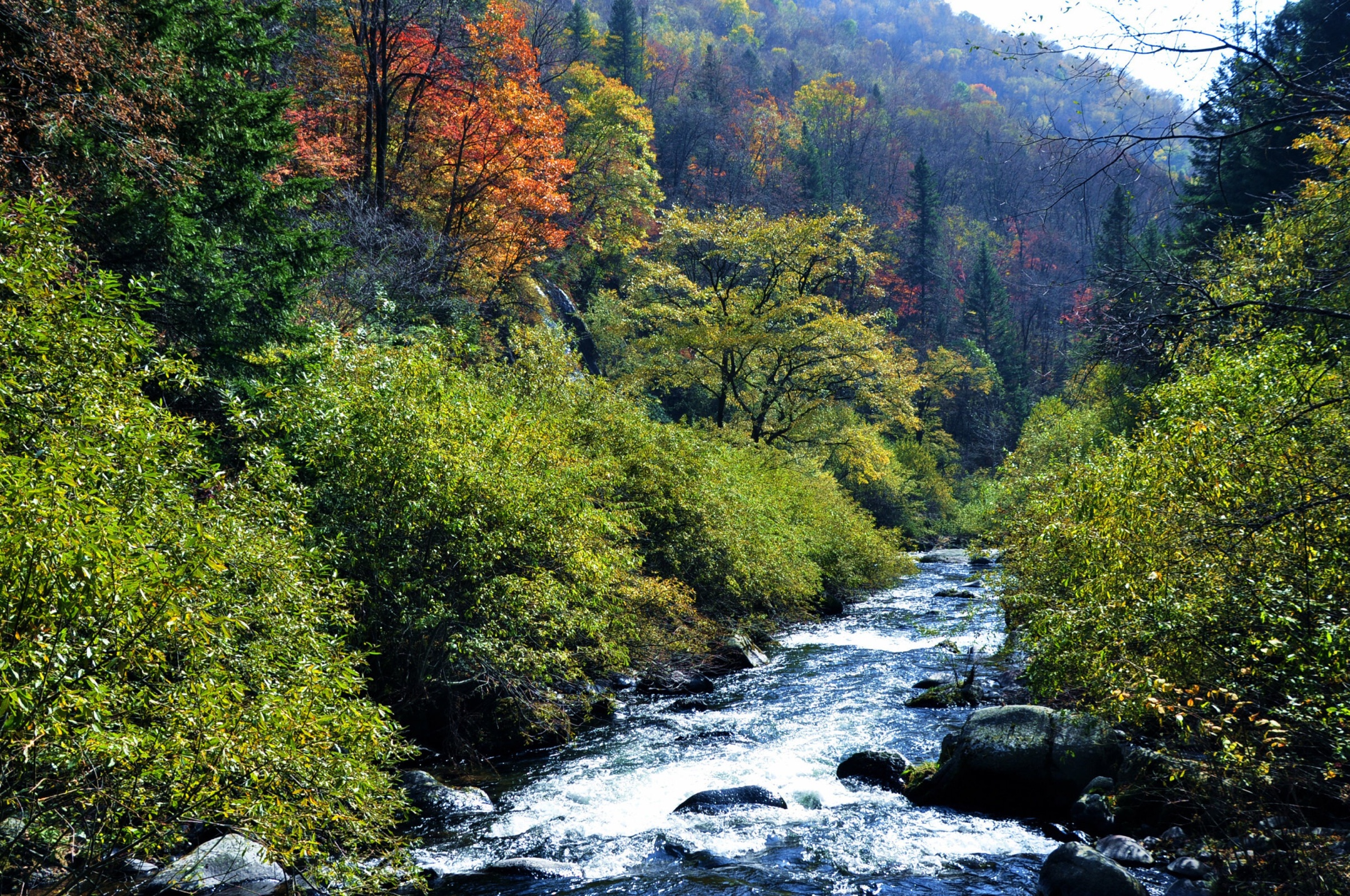一路向北之七:一石一宇宙一一望天鹅