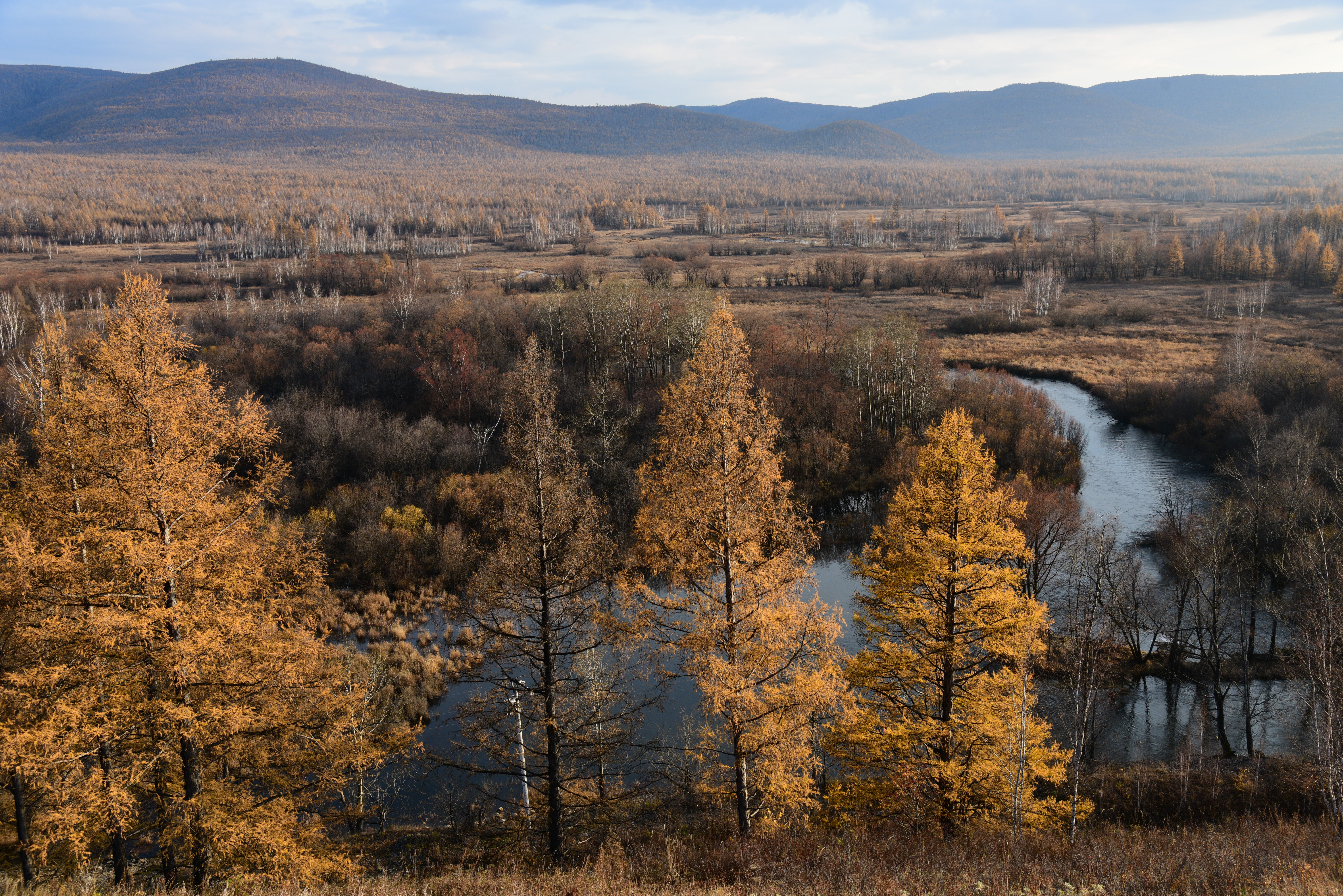 《故乡的秋天》作者:洋漾摄影诵读笑笑