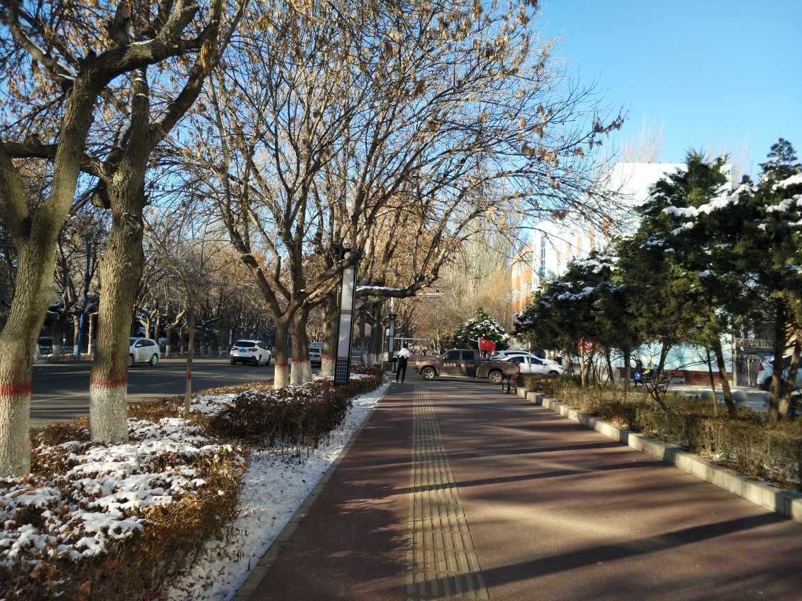 11月17日上午,我应泗阳老乡王克章