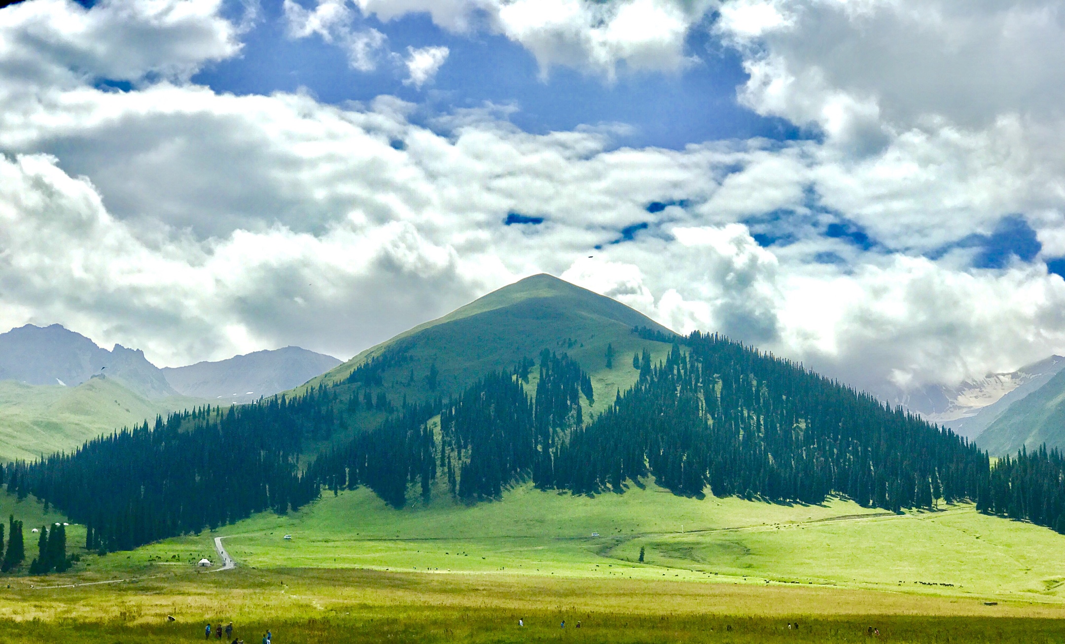 新疆伊犁那拉提空中草原.2019年手机随拍一一之21.
