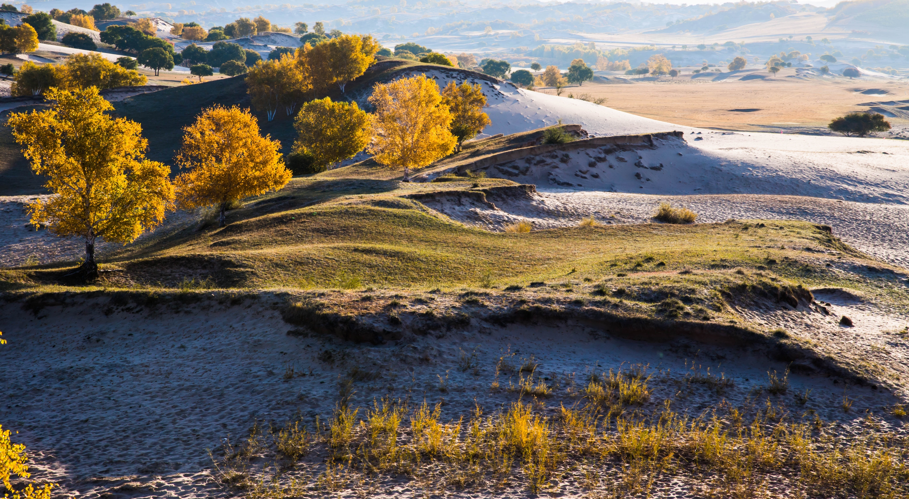 文声汇影微信摄影风景合辑第十八期