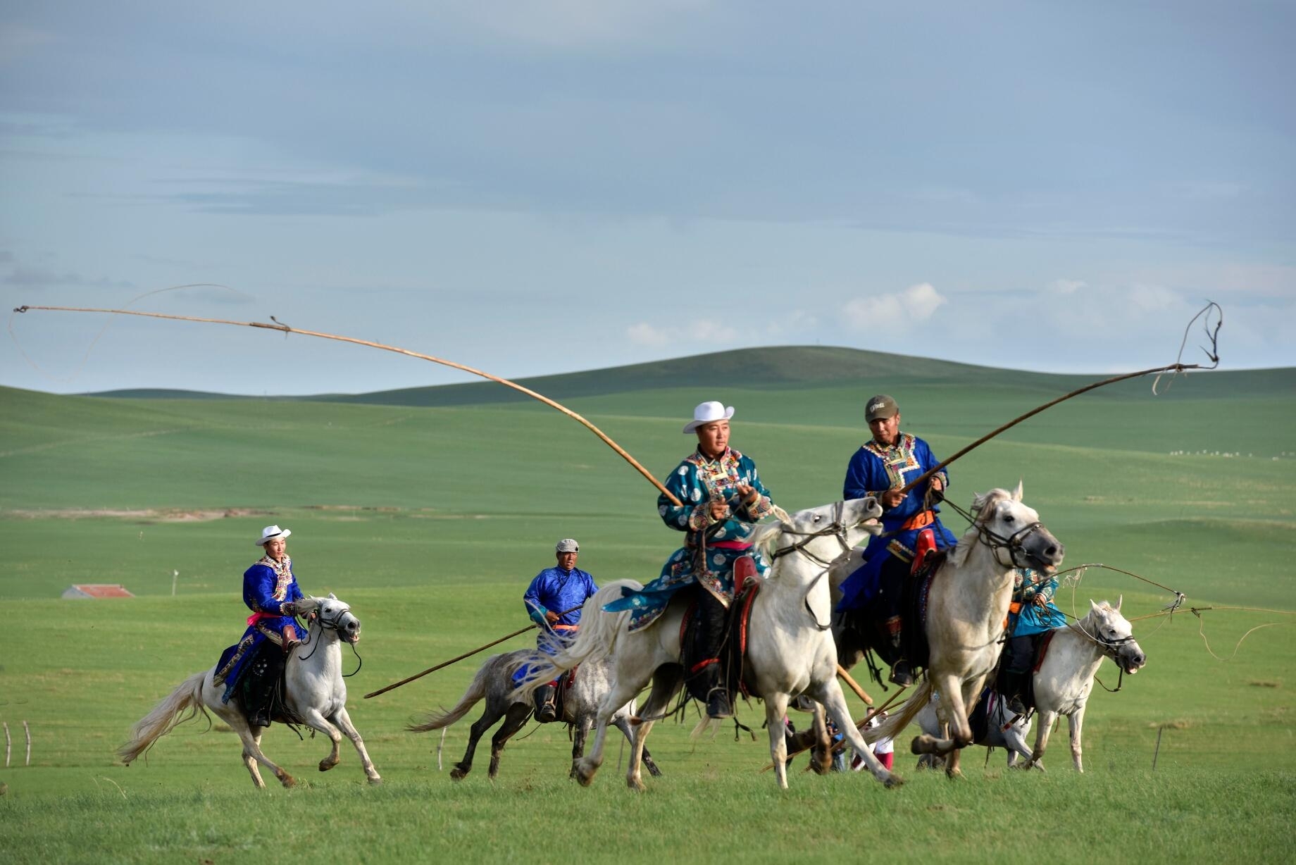 飞驰的骏马像疾风一样 套马的汉子你威武雄壮