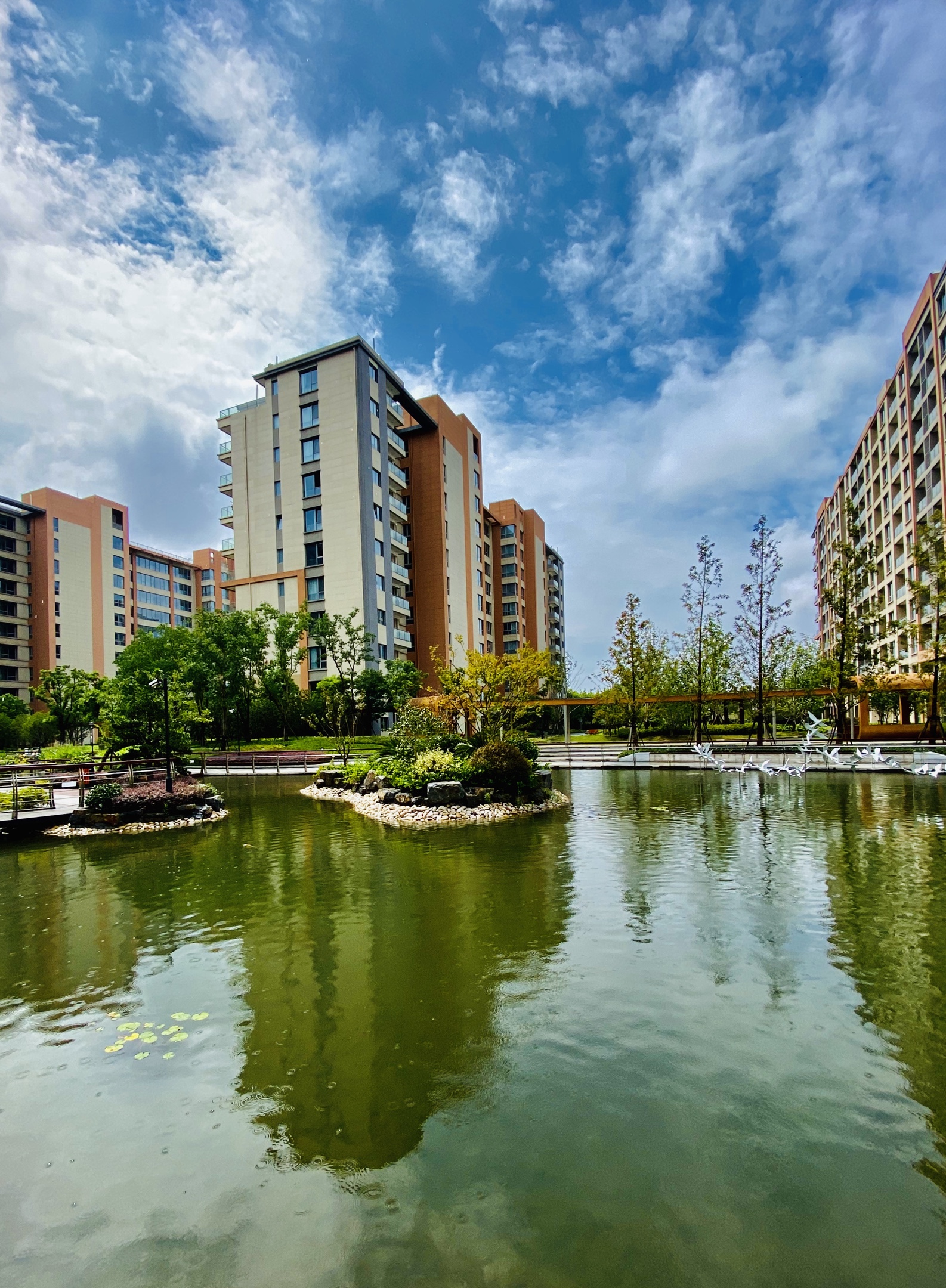 标题:关爱老人健康养老              拍摄地点:上海梧桐人家 拍摄