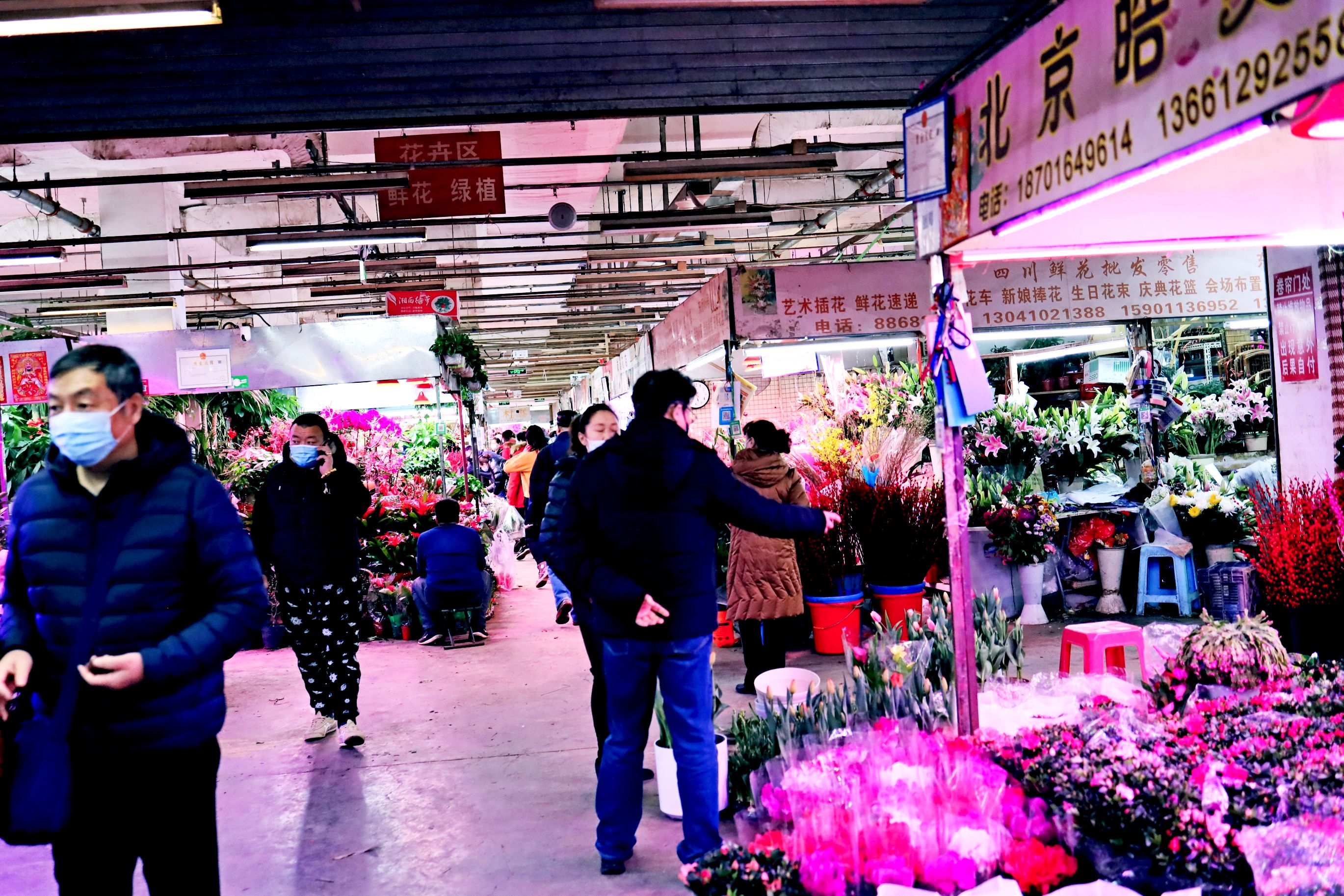 沈阳营城子花卉市场图片