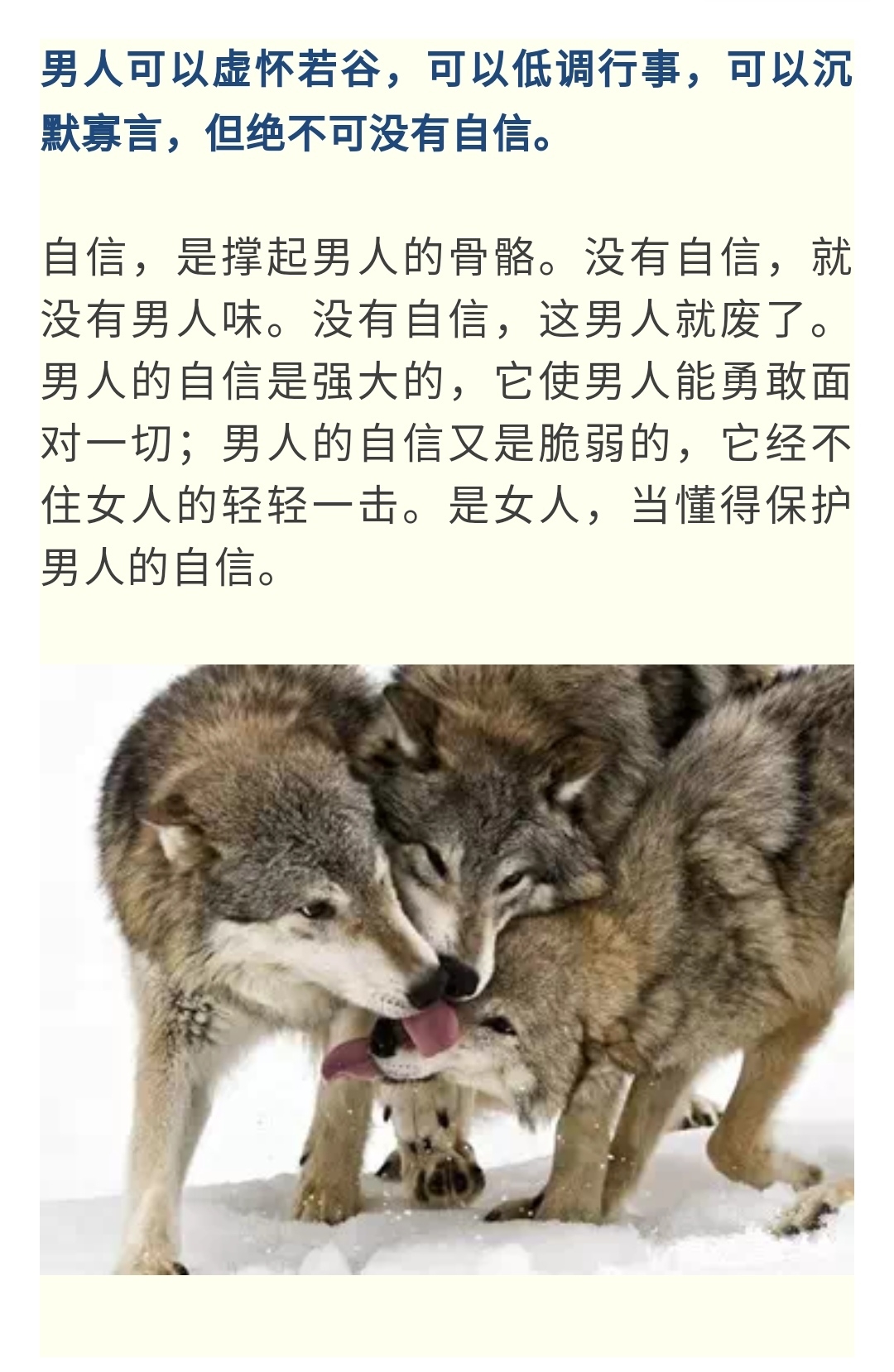 男人的狼性你有多少?