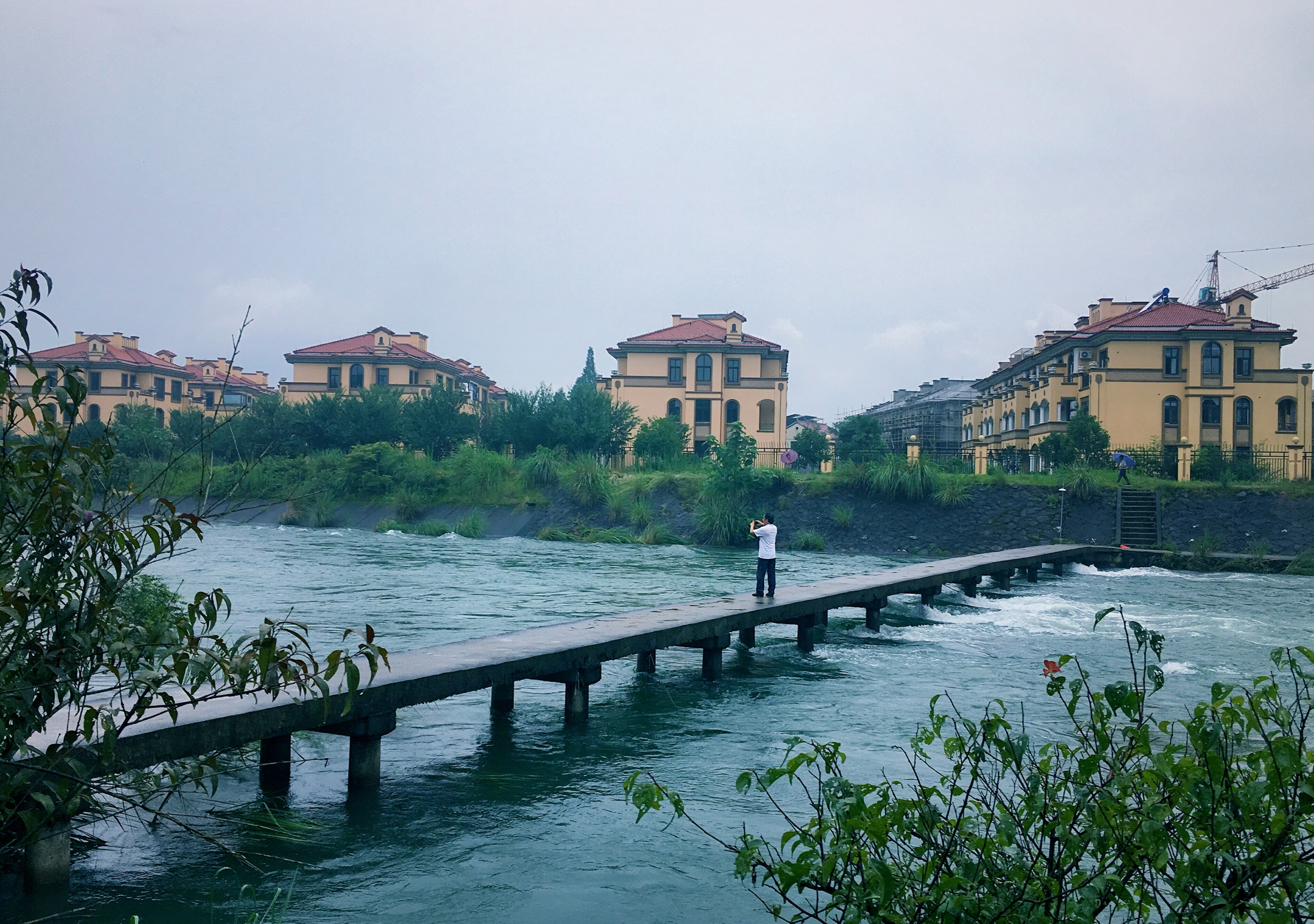 《泄洪·白沙溪畔之美》2019年7月7曰(手机版)