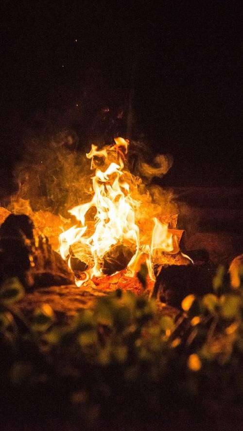 星星之火可以燎原作者朗诵梦周归